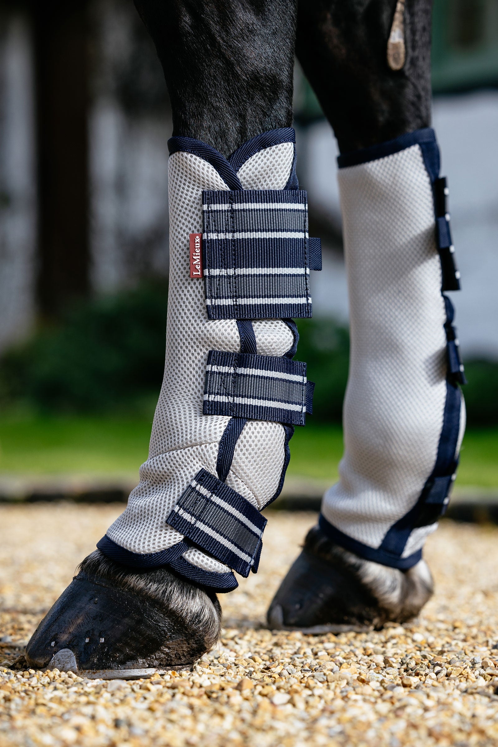 LeMieux Arika Mesh Fly Boots (Set of 4) Antifly Protection for Horses