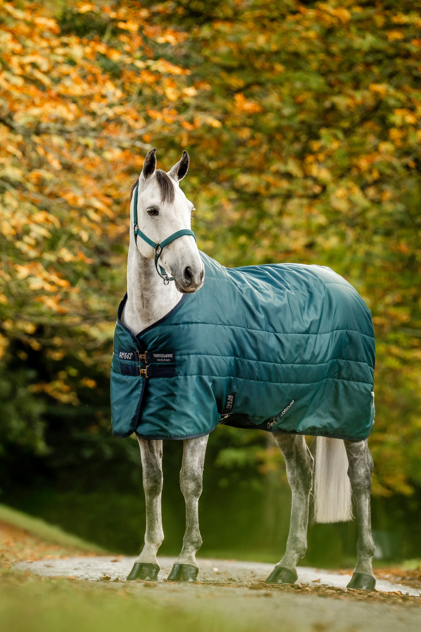Horseware Amigo Ripstop Insulator Stable Rug, 350 g Horse Rugs