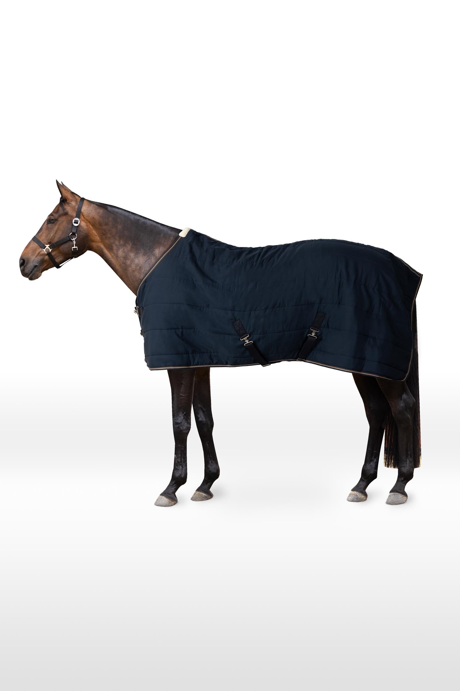 Horze Glasgow Stable Rug / Under Rug, 100g Horse Rugs