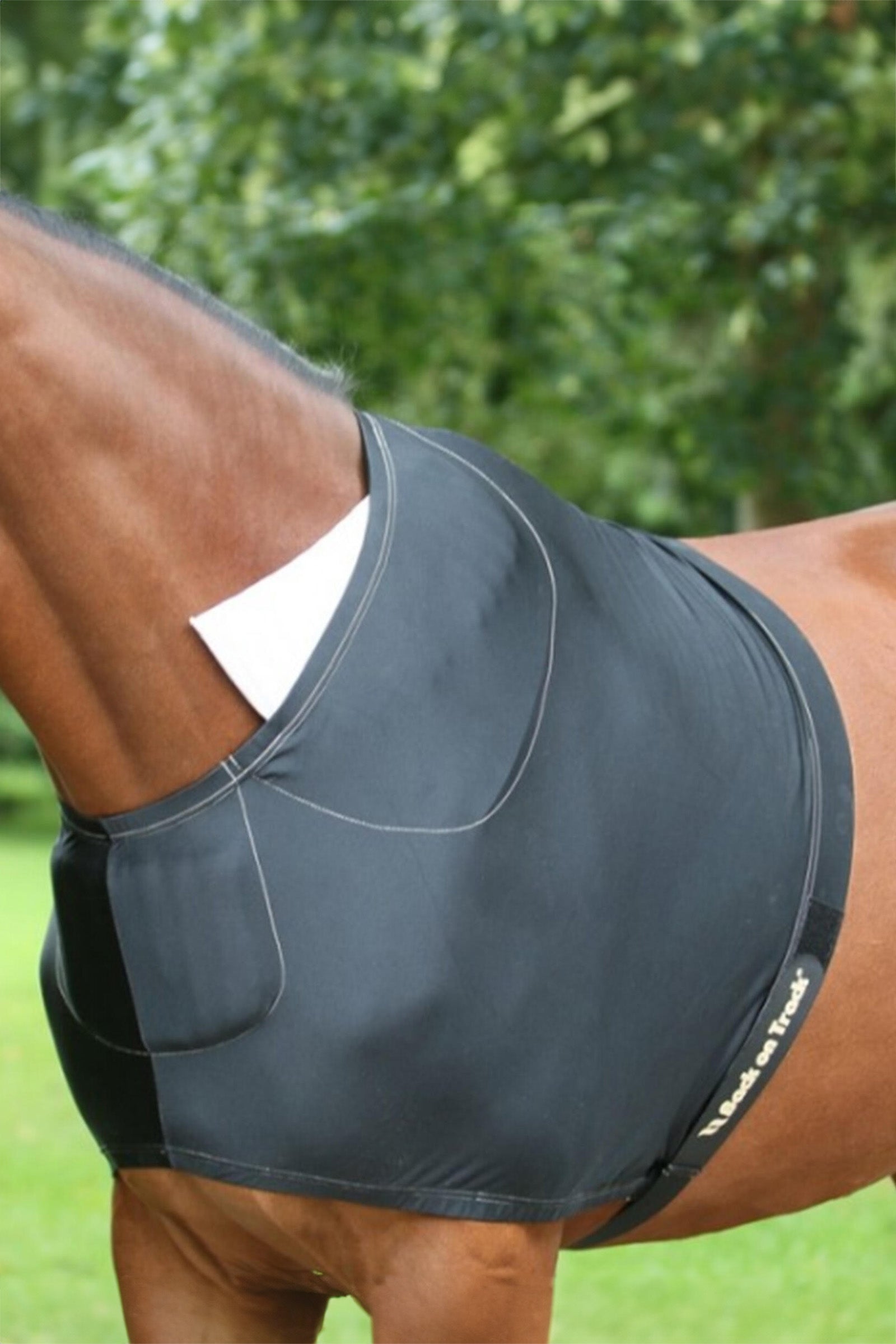 Back on Track Shoulder Guard Horse Rugs