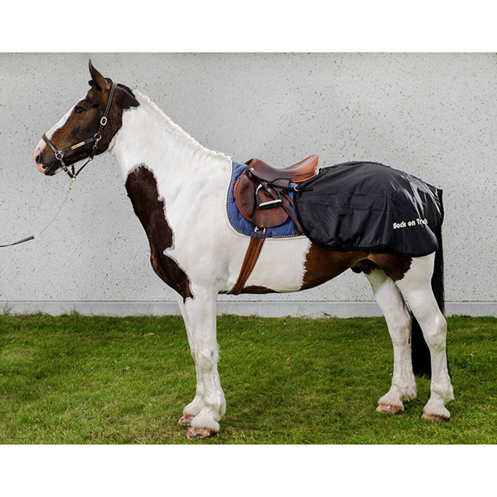 undefined Back on Track Exercise Sheet Horse Rugs