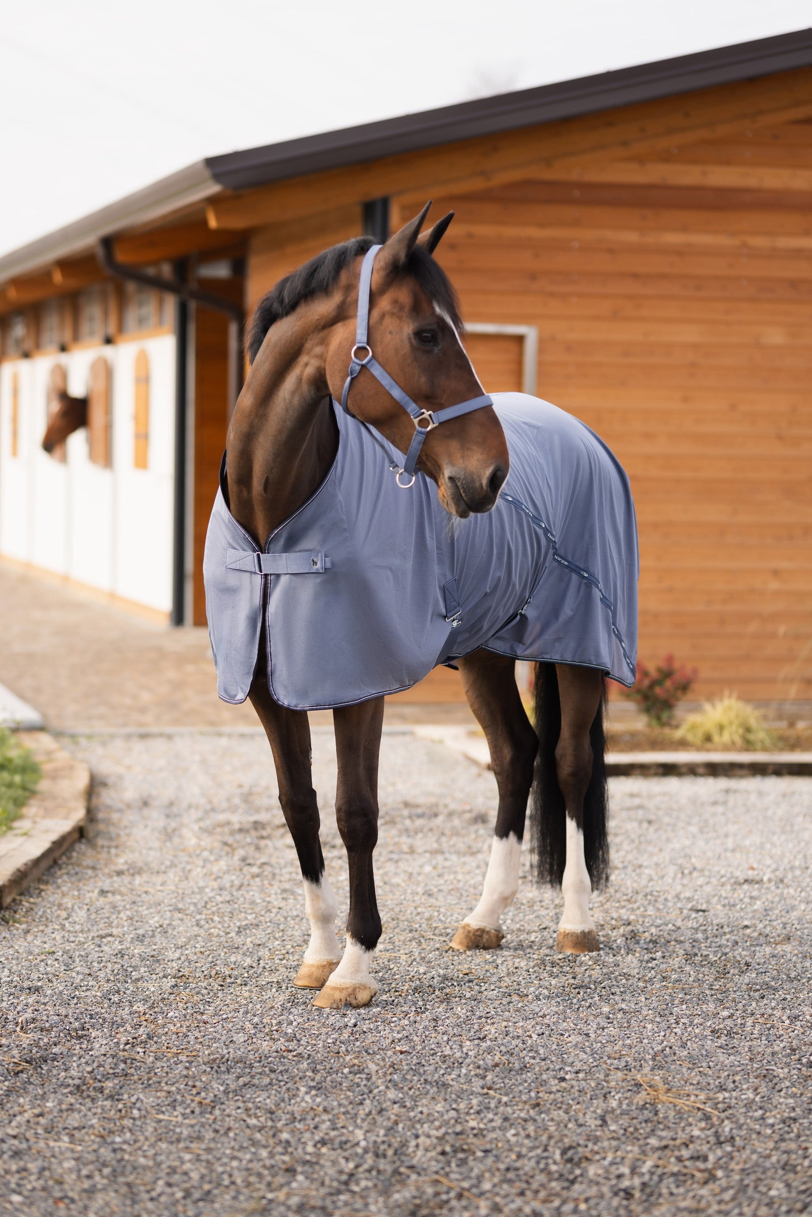 Horze Dorchester Mesh Rug Horse Rugs