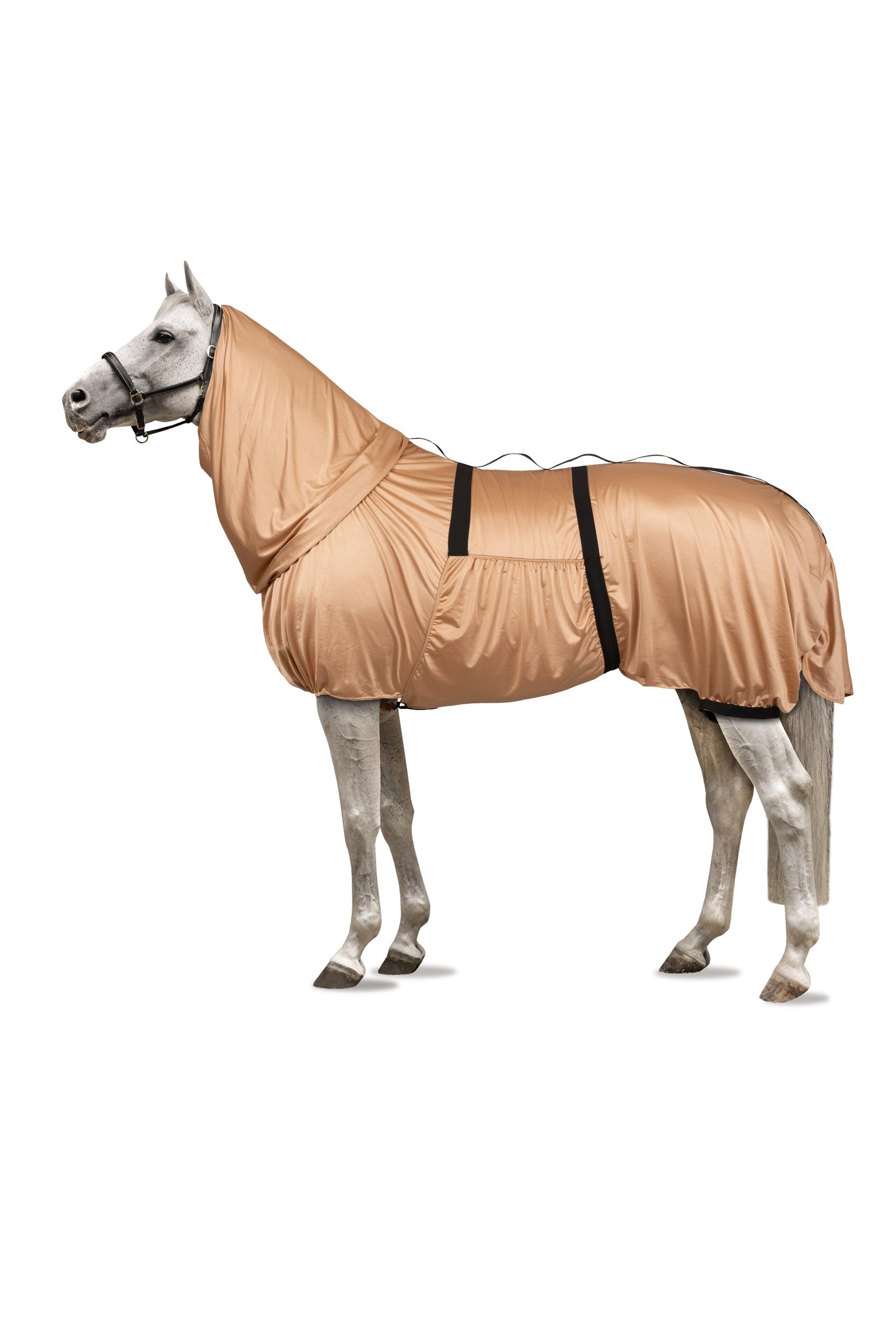 HORZE Defender Horse Fly Sheet With Neck Cover - Full Protection Fly Sheet For Horses