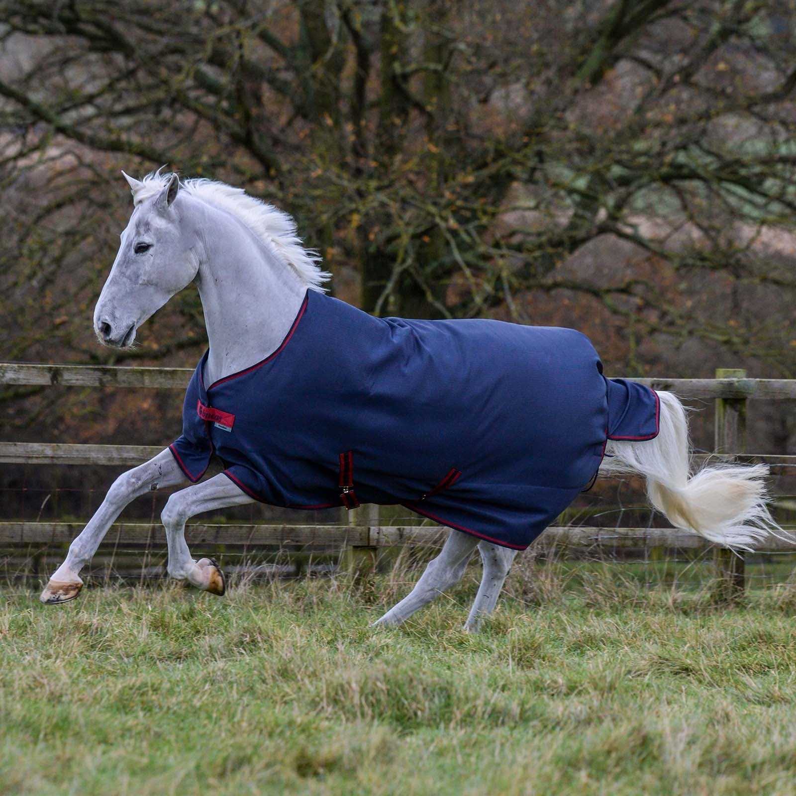 Bucas Freedom Turnout Rug, 150g Horse Rugs