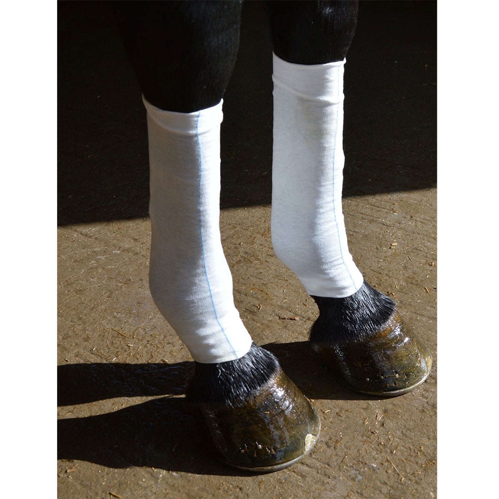 Equi-N-icE Ice Socks Horse Health Care