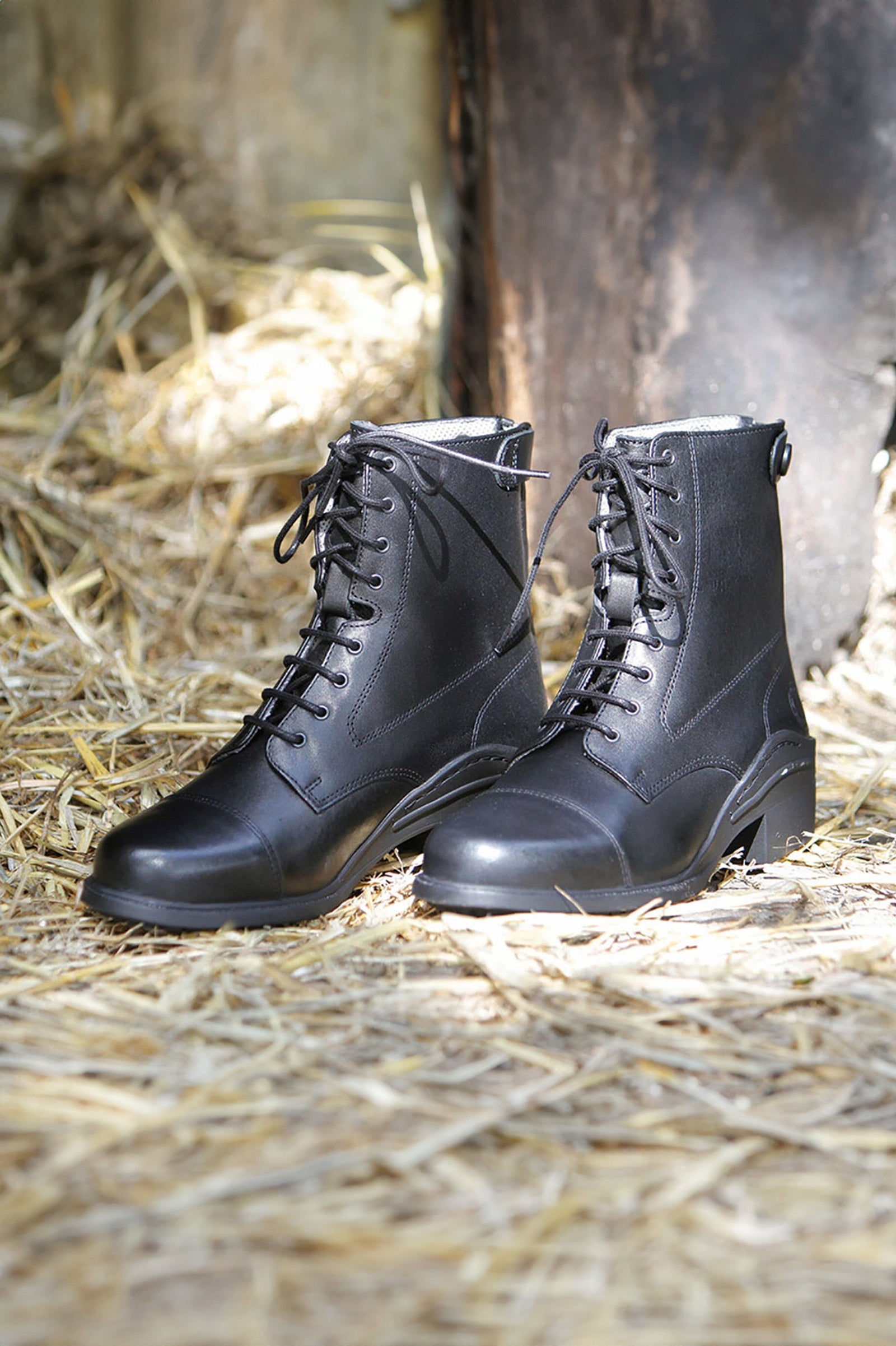 Mountain Horse Wild River Bottes paddock à lacets - Noir