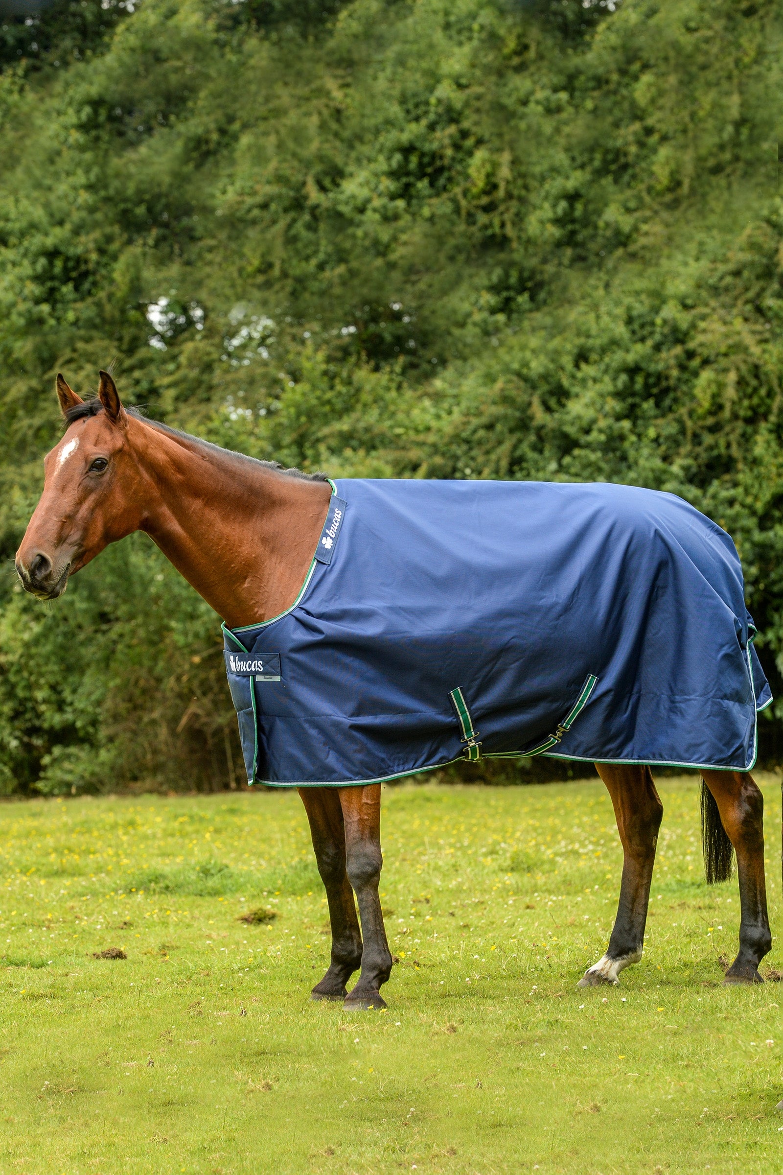 Bucas Smartex Extra Rug 300g Horse Rugs