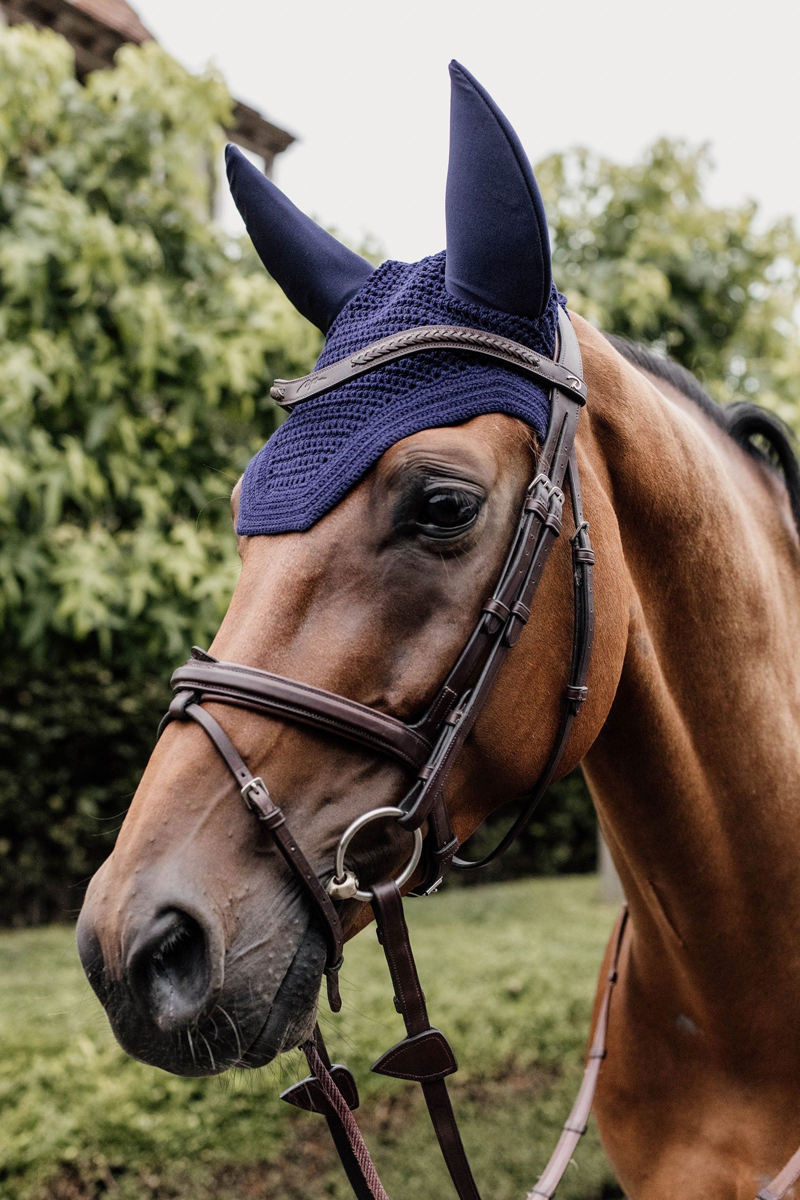 Kentucky Horsewear Fly Veil Wellington Soundless Saddle Pads