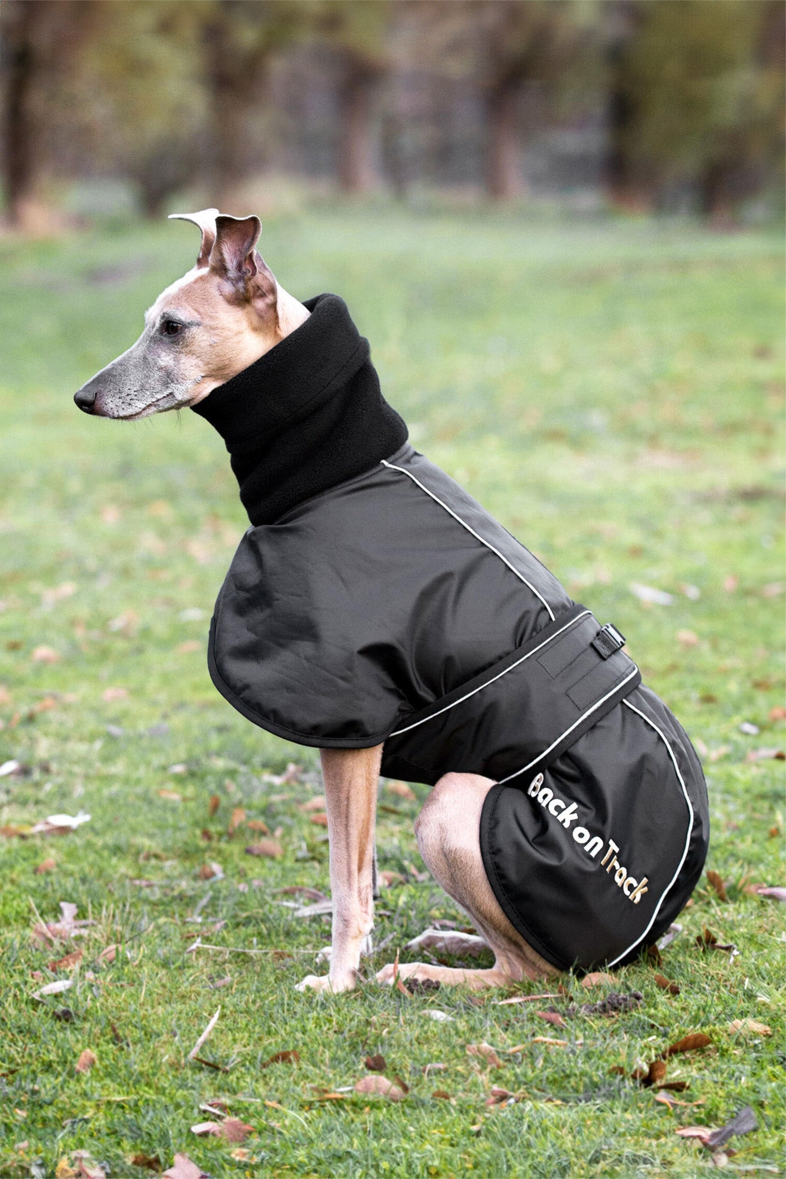 Whippet Dog Rug, XS-M Black XS – horze