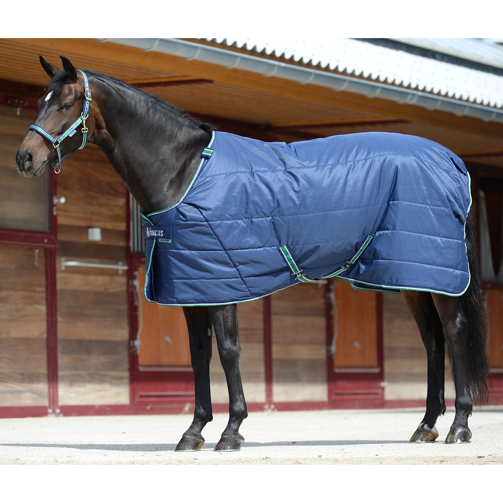 Bucas Quilt 150g SD Big Neck Horse Rugs