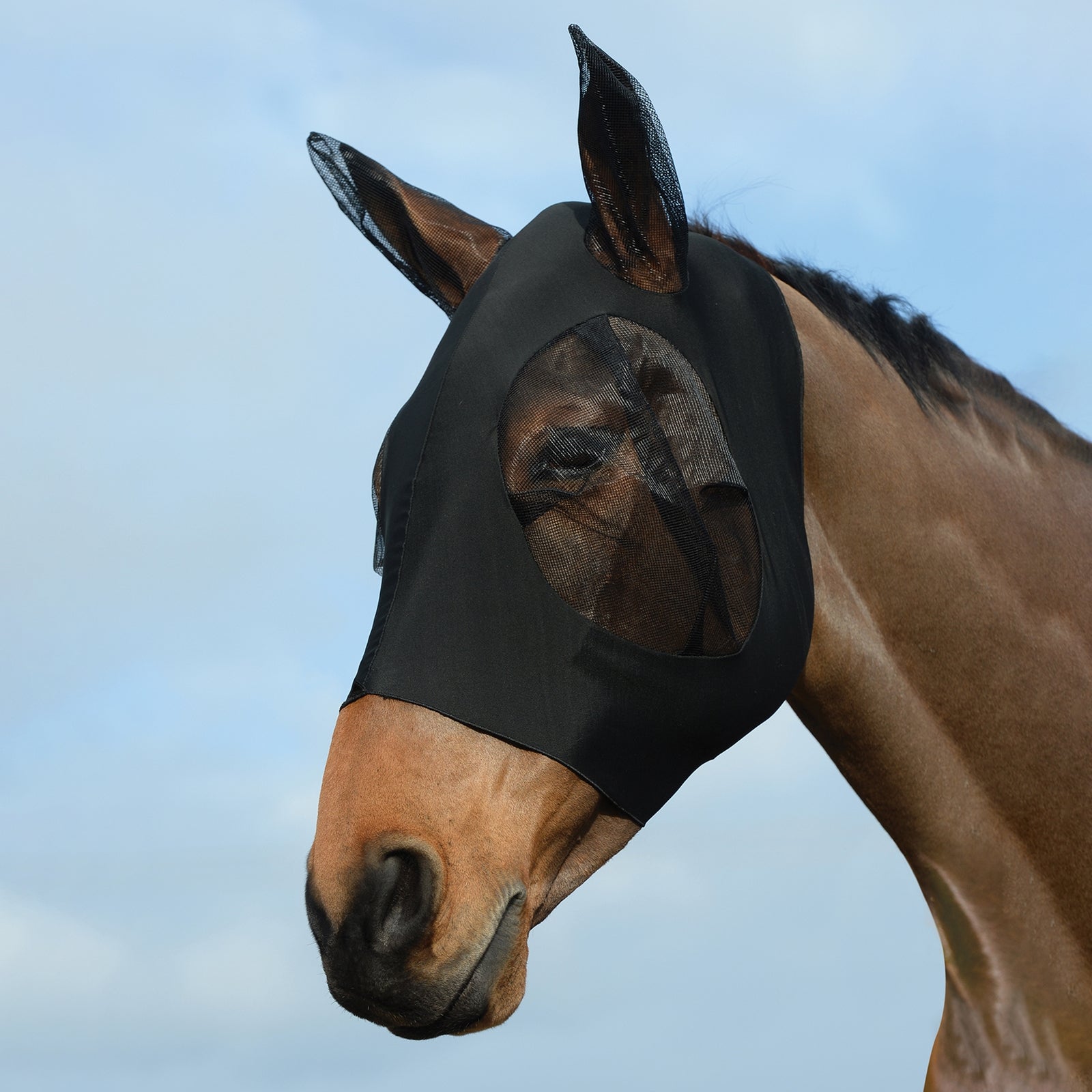 Weatherbeeta Stretch Bug Fly Mask With Ears Antifly Protection for Horses