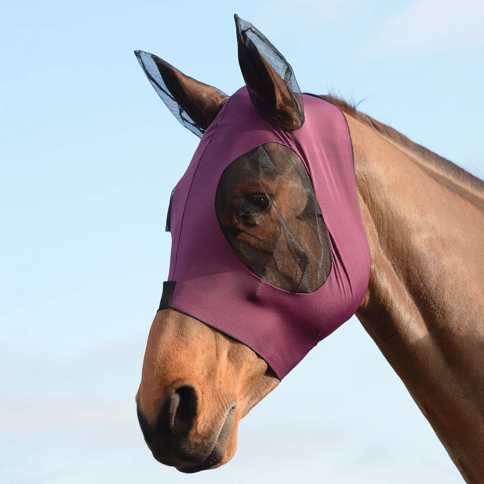 Weatherbeeta Stretch Bug Fly Mask With Ears Antifly Protection for Horses