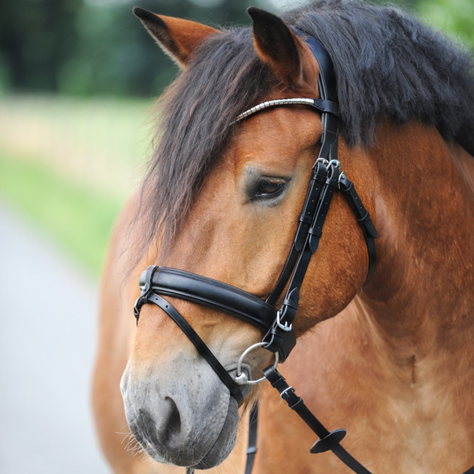 Kavalkade Clinchesse Bridle Bridles & Reins