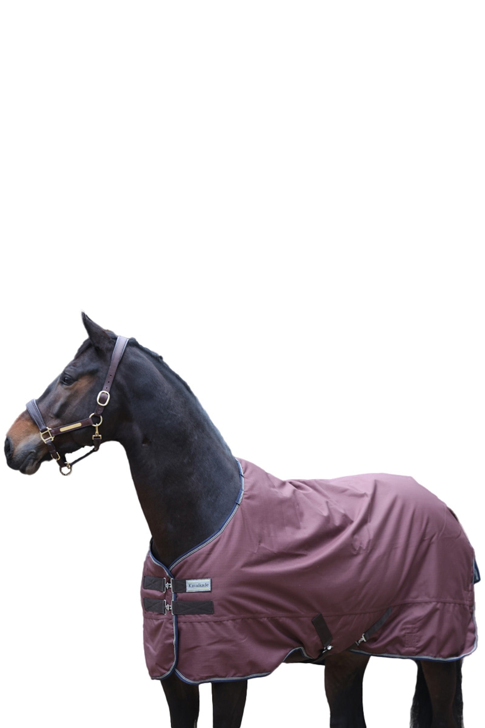 Kavalkade Montreal Turnour Rug, 0g Horse Rugs