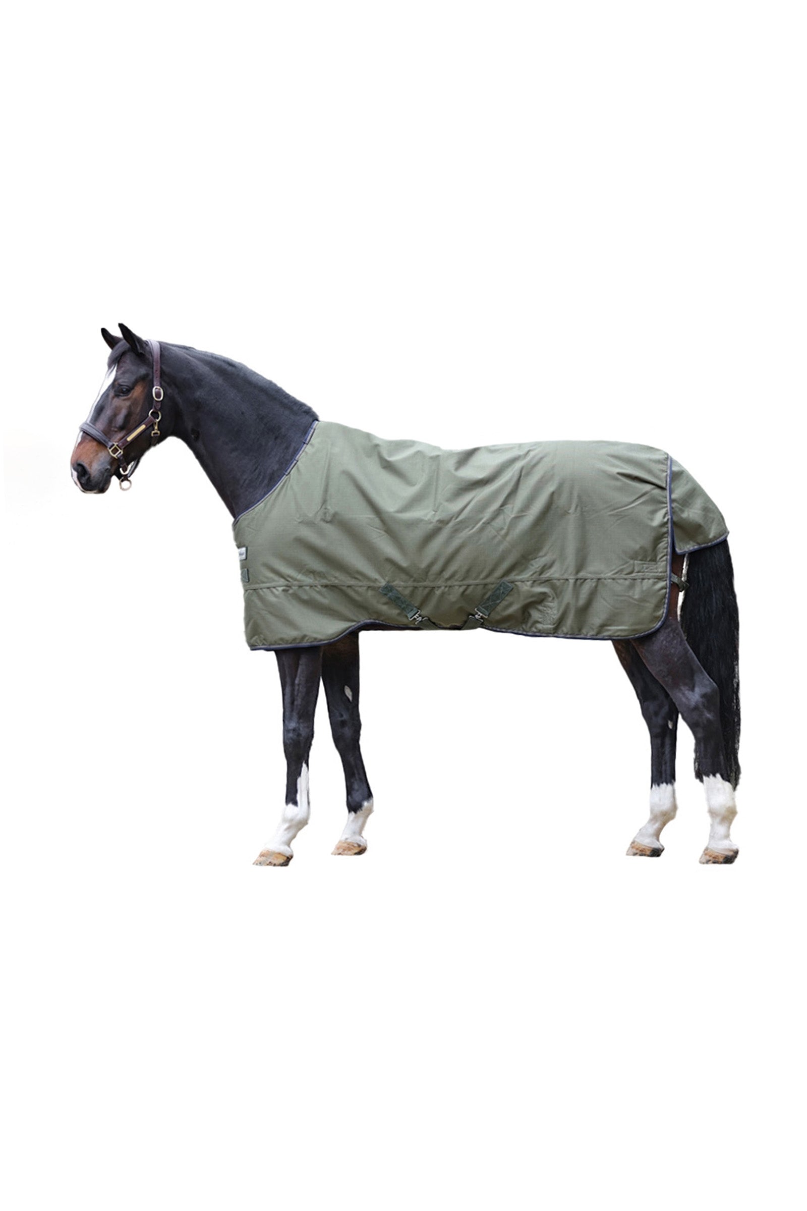 Kavalkade Montreal Turnout Rug, 100g Horse Rugs