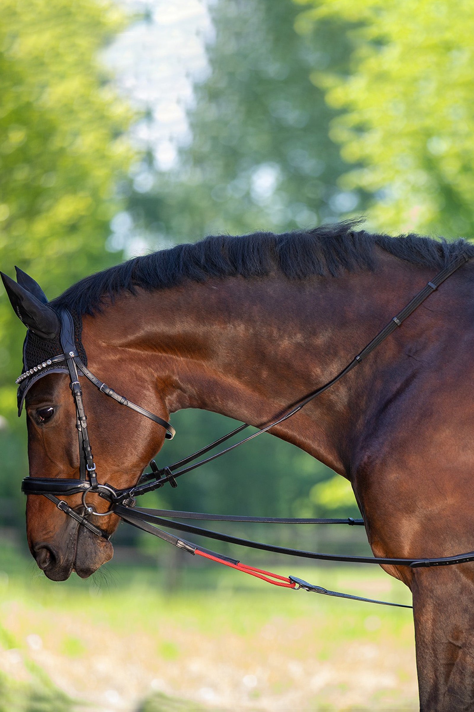 Waldhausen WTrainrein Bridles & Reins