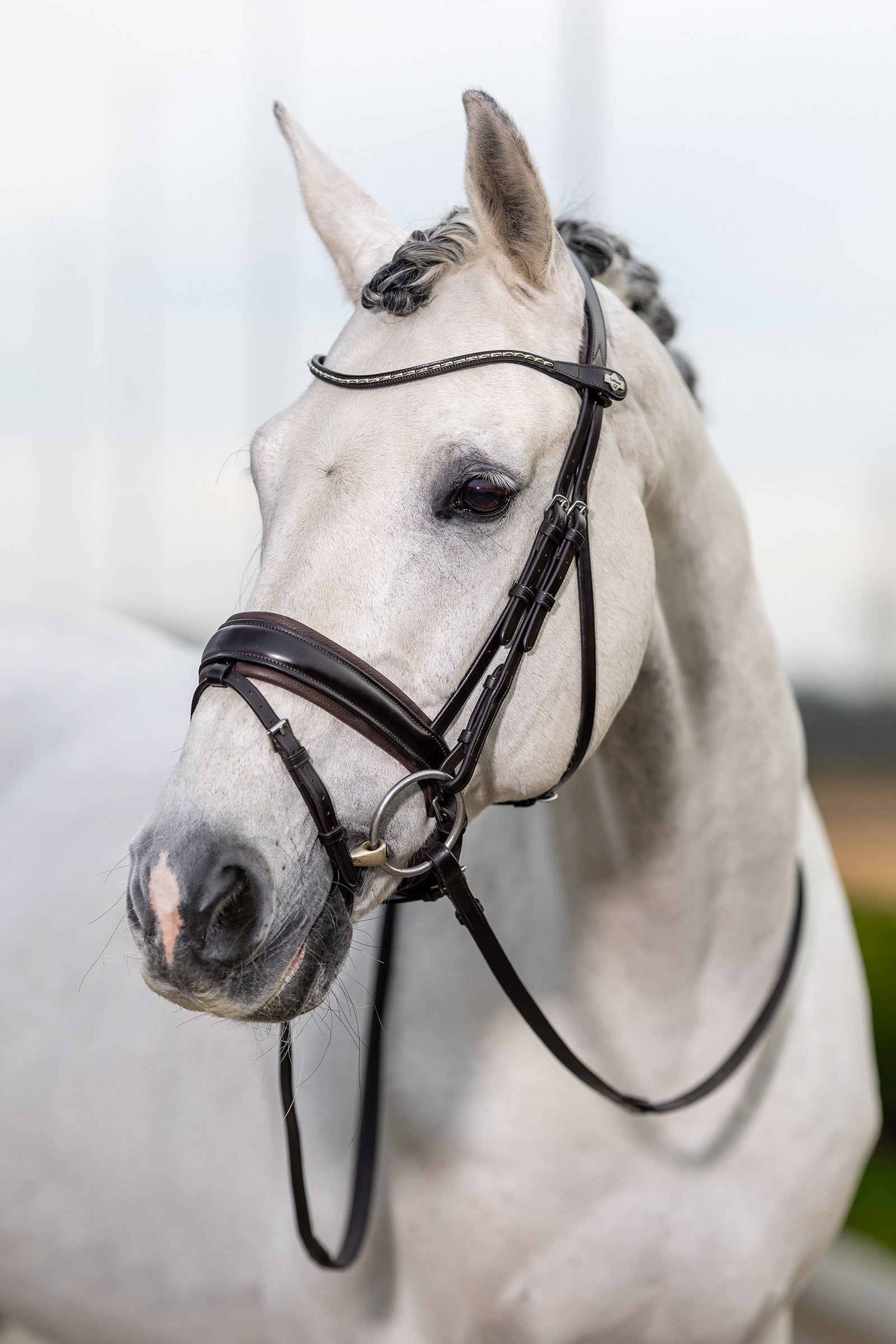 LeMieux Classic Dressage Bridle Bridles & Reins