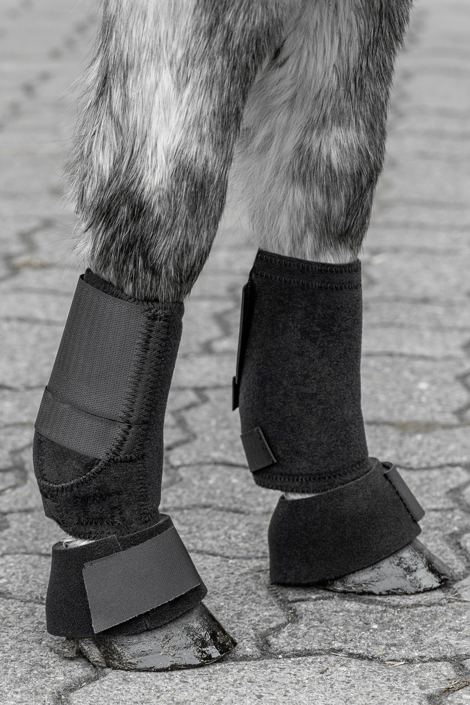 USG Shetty Exercise Boots Leg Protection & Hoof Protection for Horses