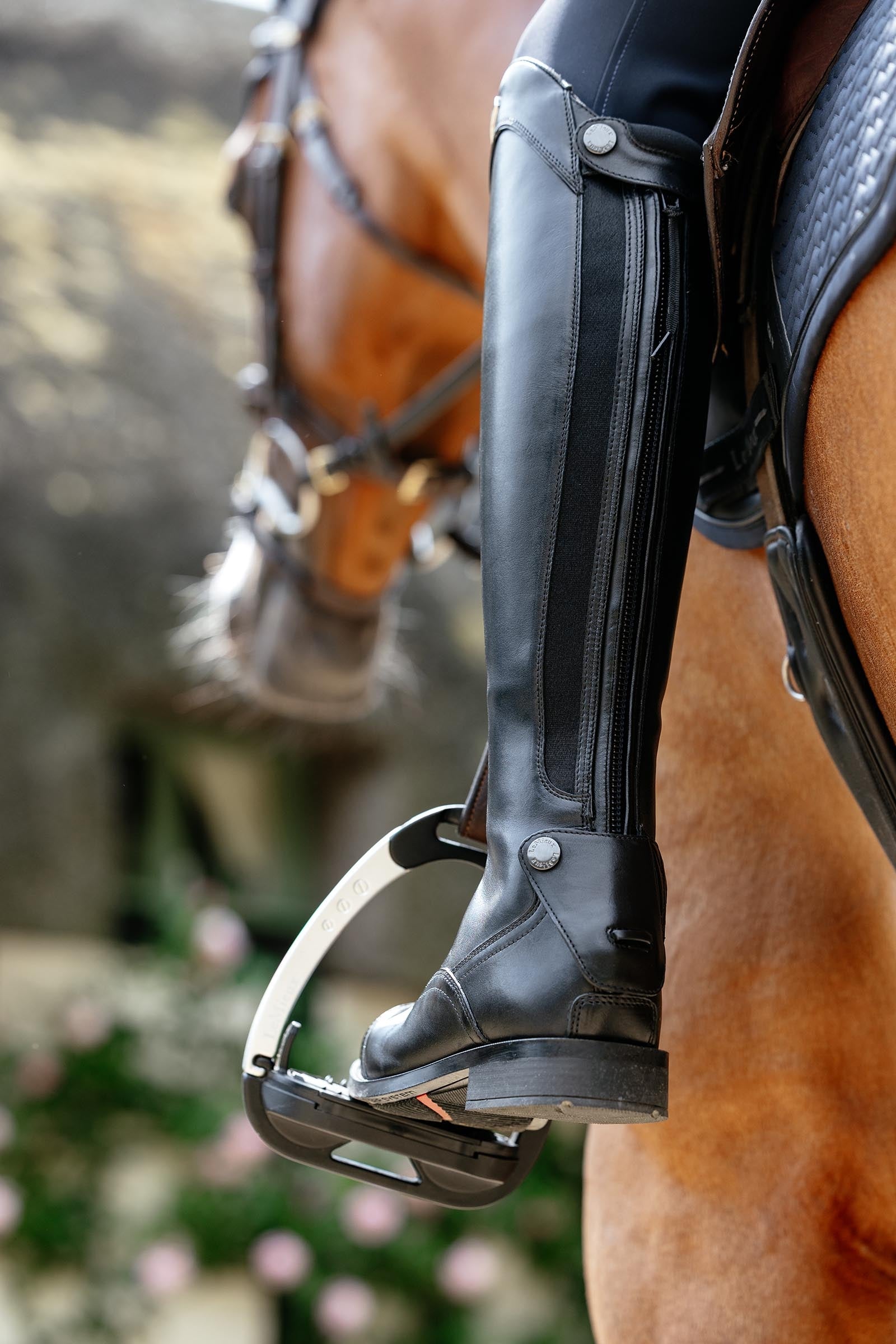 LeMieux Field Riding Boots, Short Riding Boots & Riding Shoes