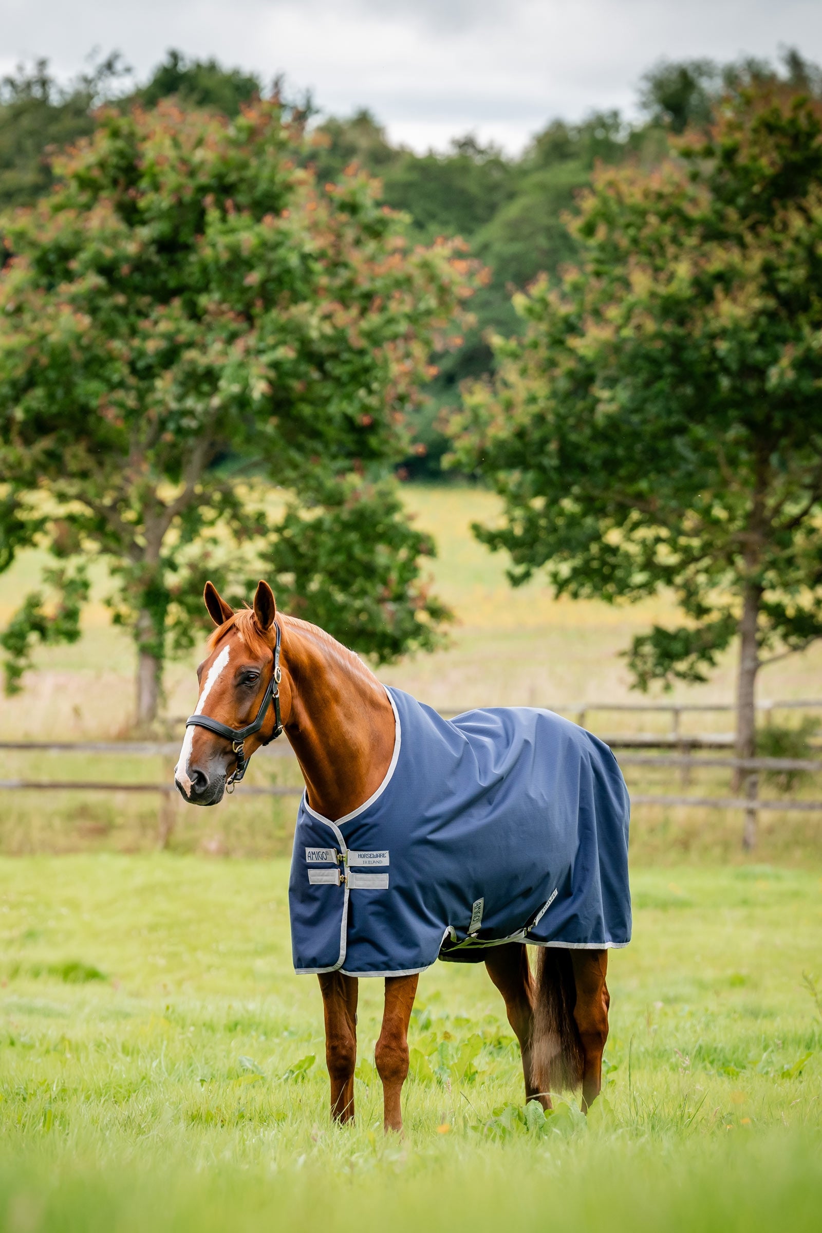 Horseware Amigo Ripstop 900D Turnout Rug, 100 g Horse Rugs