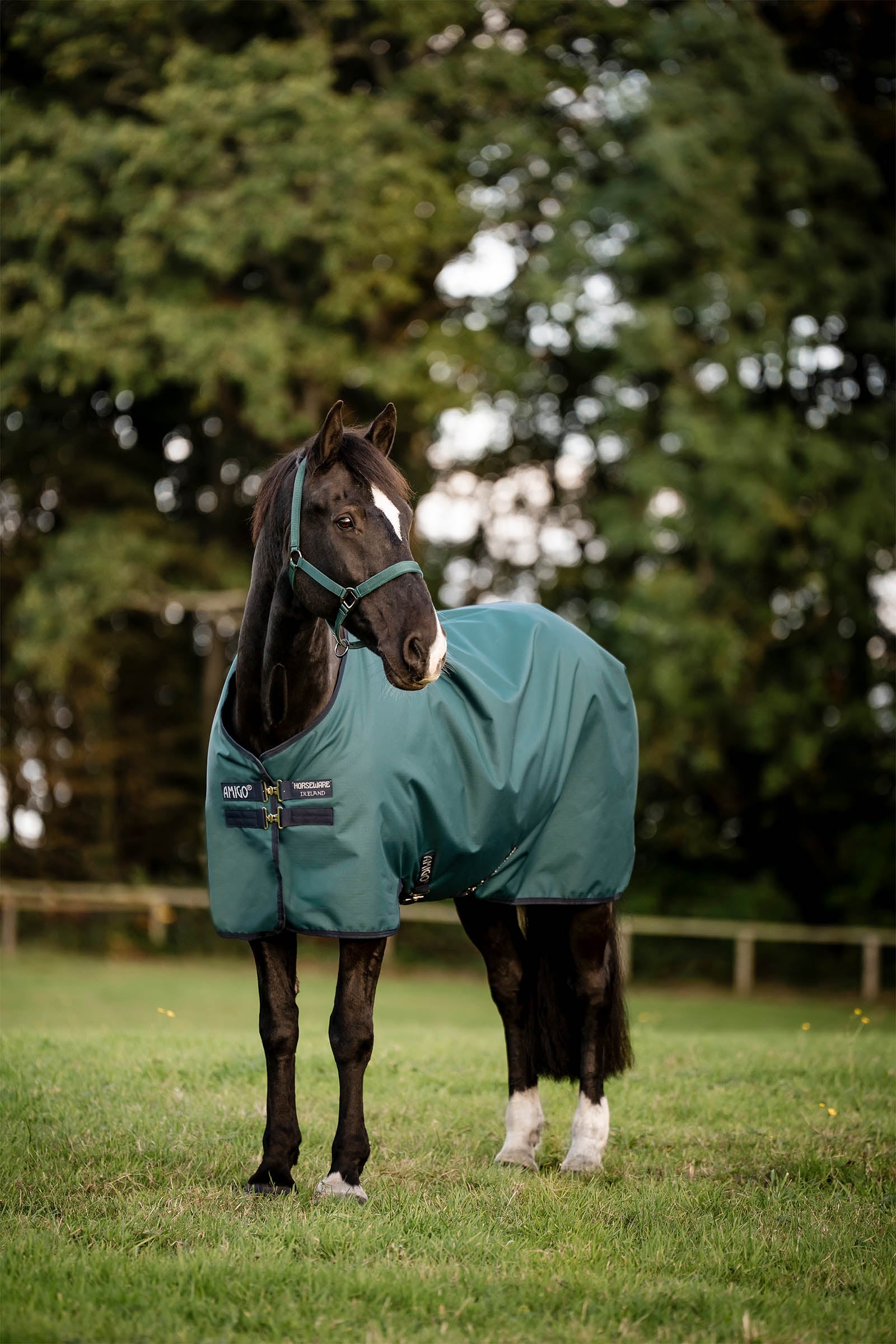 Horseware Amigo Ripstop 900D Turnout Rug, 200 g Horse Rugs