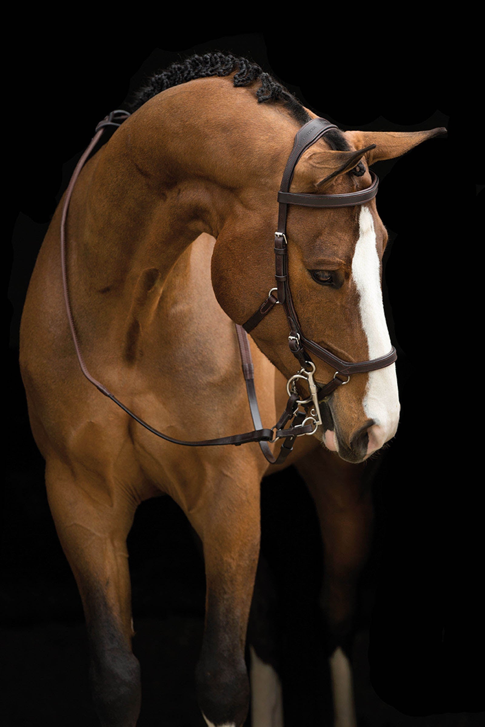 Horseware Rambo Micklem Competition Bridle Bridles & Reins