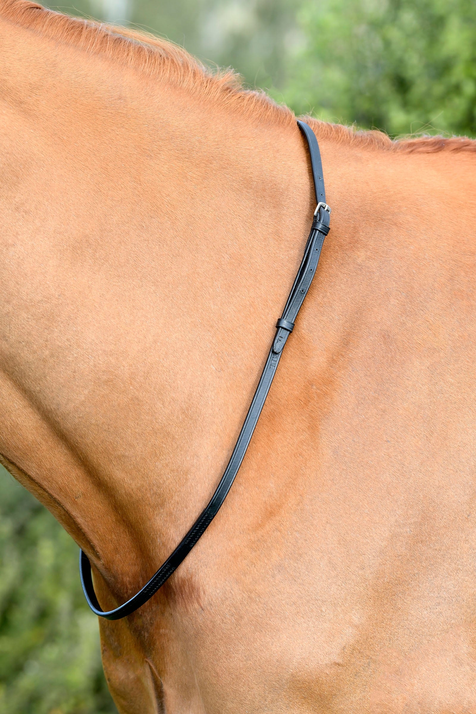 Kincade Classic Leather Neck Strap Bridles & Reins