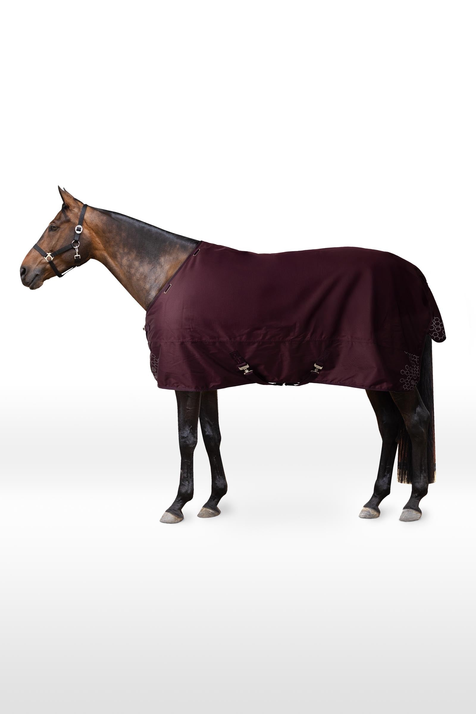 Horze Newbridge Reflective Turnout Rug, 300 g Horse Rugs