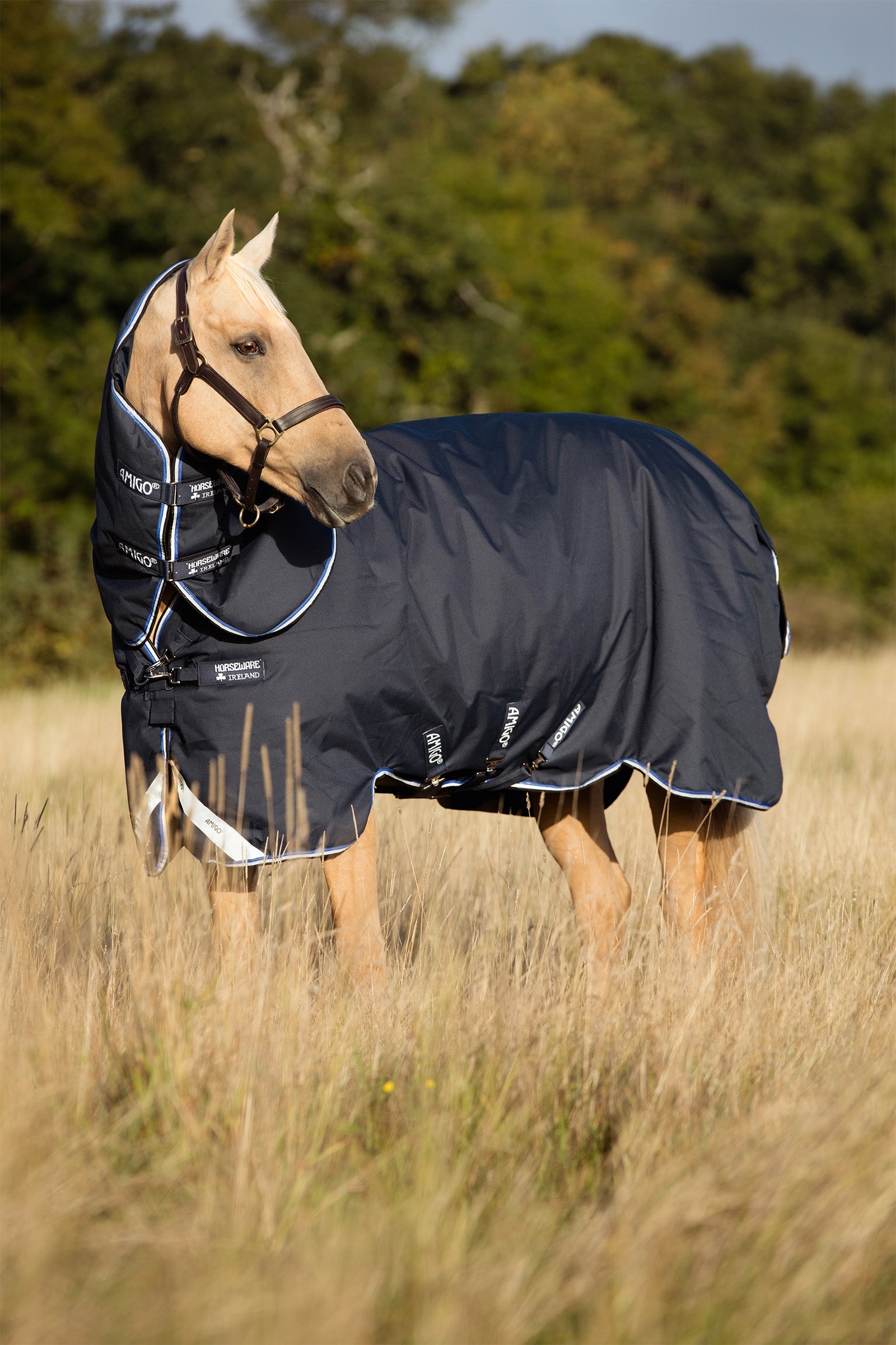 Horseware Amigo Bravo 12 Plus Turnout Rug With Detachable Neck, 0g Horse Rugs