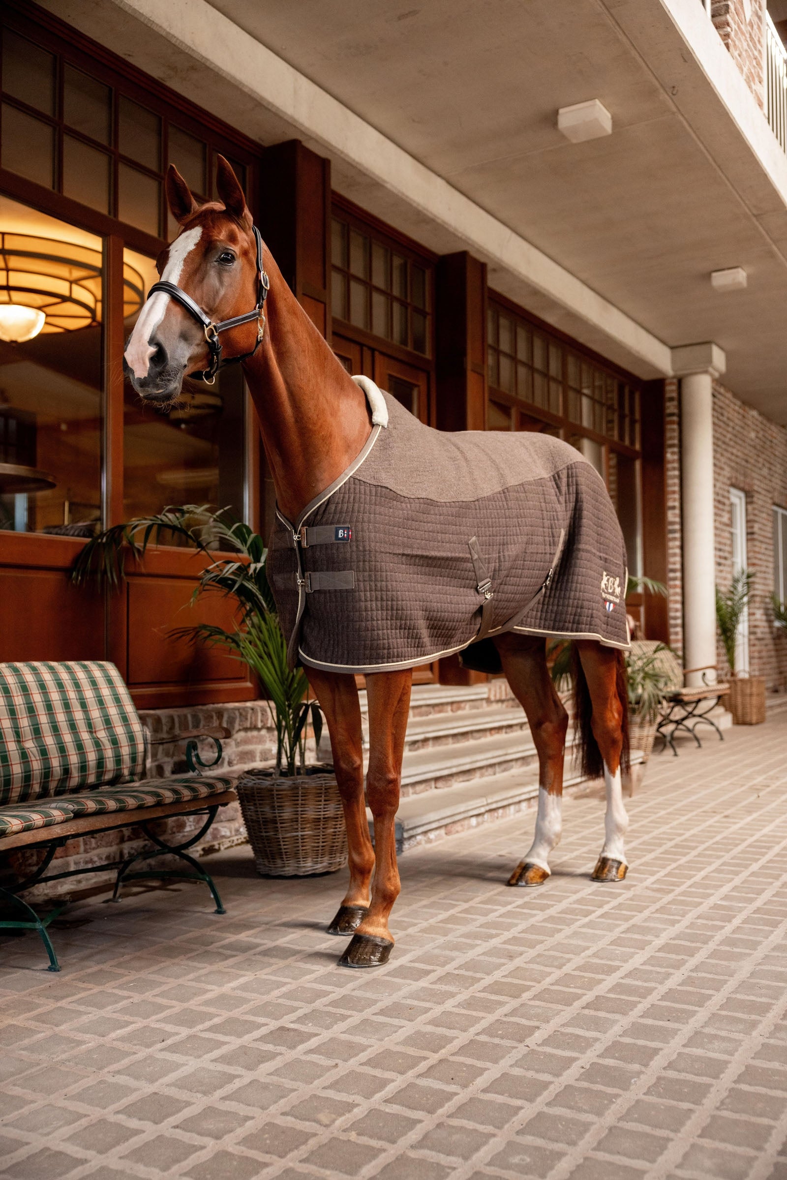 Horze B Vertigo High Altitude Wool Mix Cooler Horse Rugs