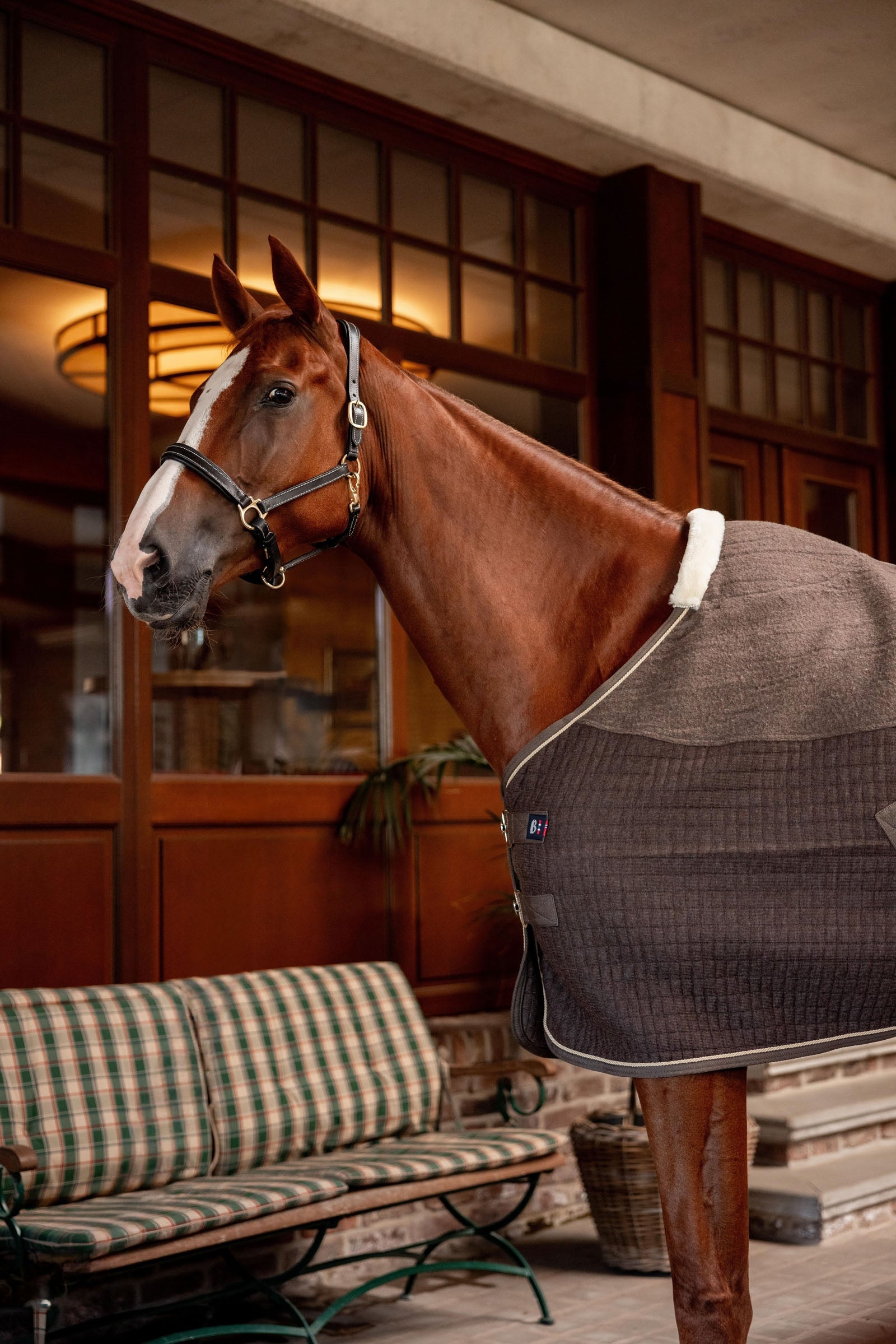 Horze B Vertigo High Altitude Wool Mix Cooler Horse Rugs
