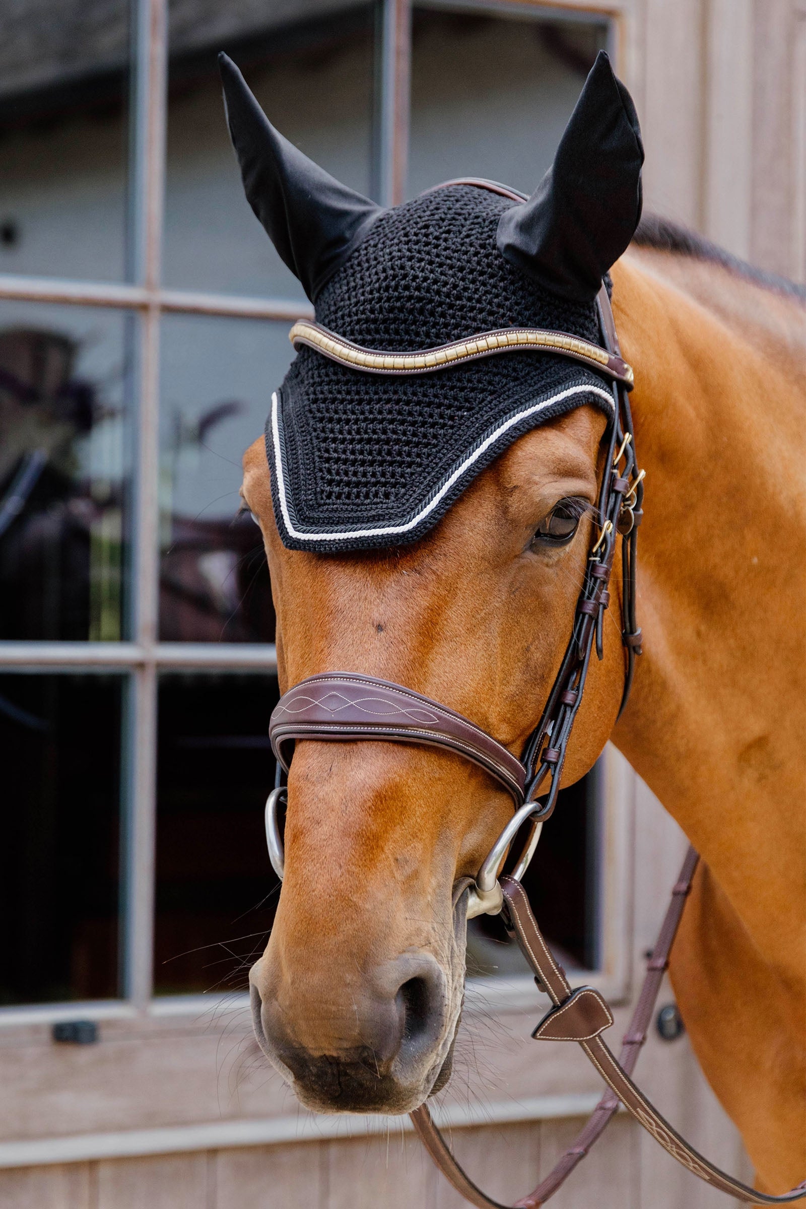 Kentucky Horsewear Fly veil Wellington diamond rope Soundless Saddle Pads
