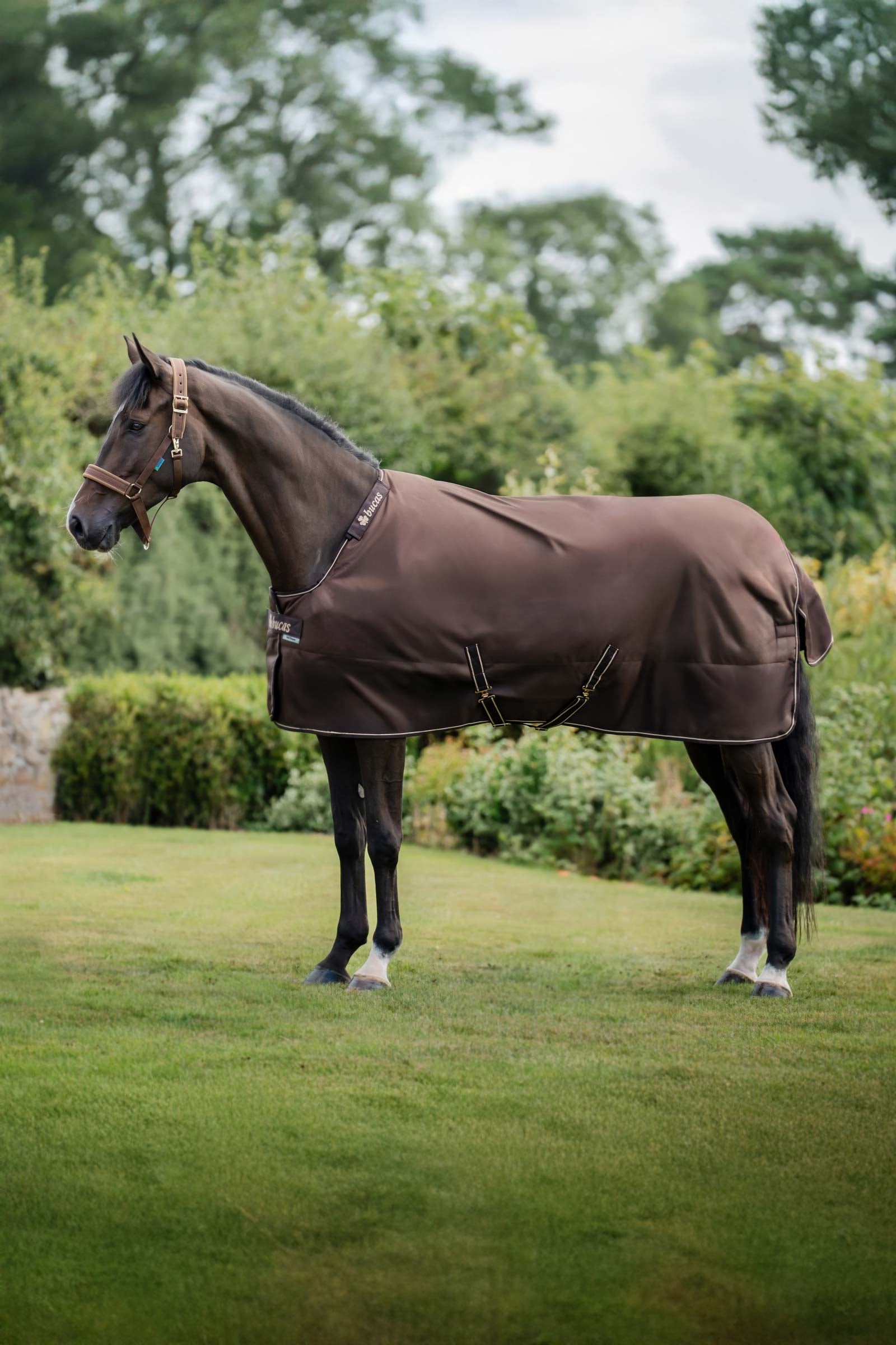 Bucas Irish Turnout Rug, 300 g & Neck Set Horse Rugs