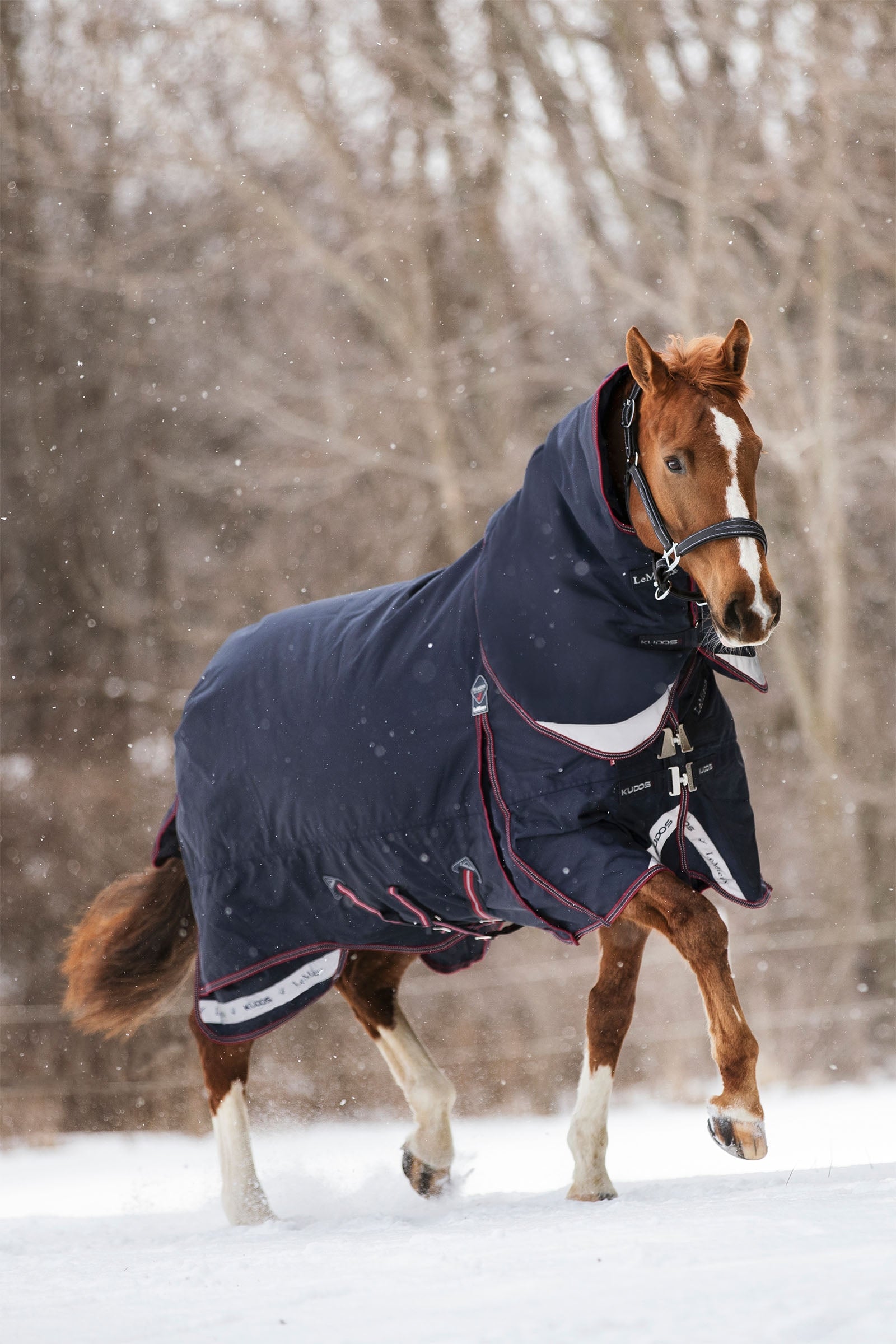 LeMieux Kudos Turnout Rug 350g Horse Rugs