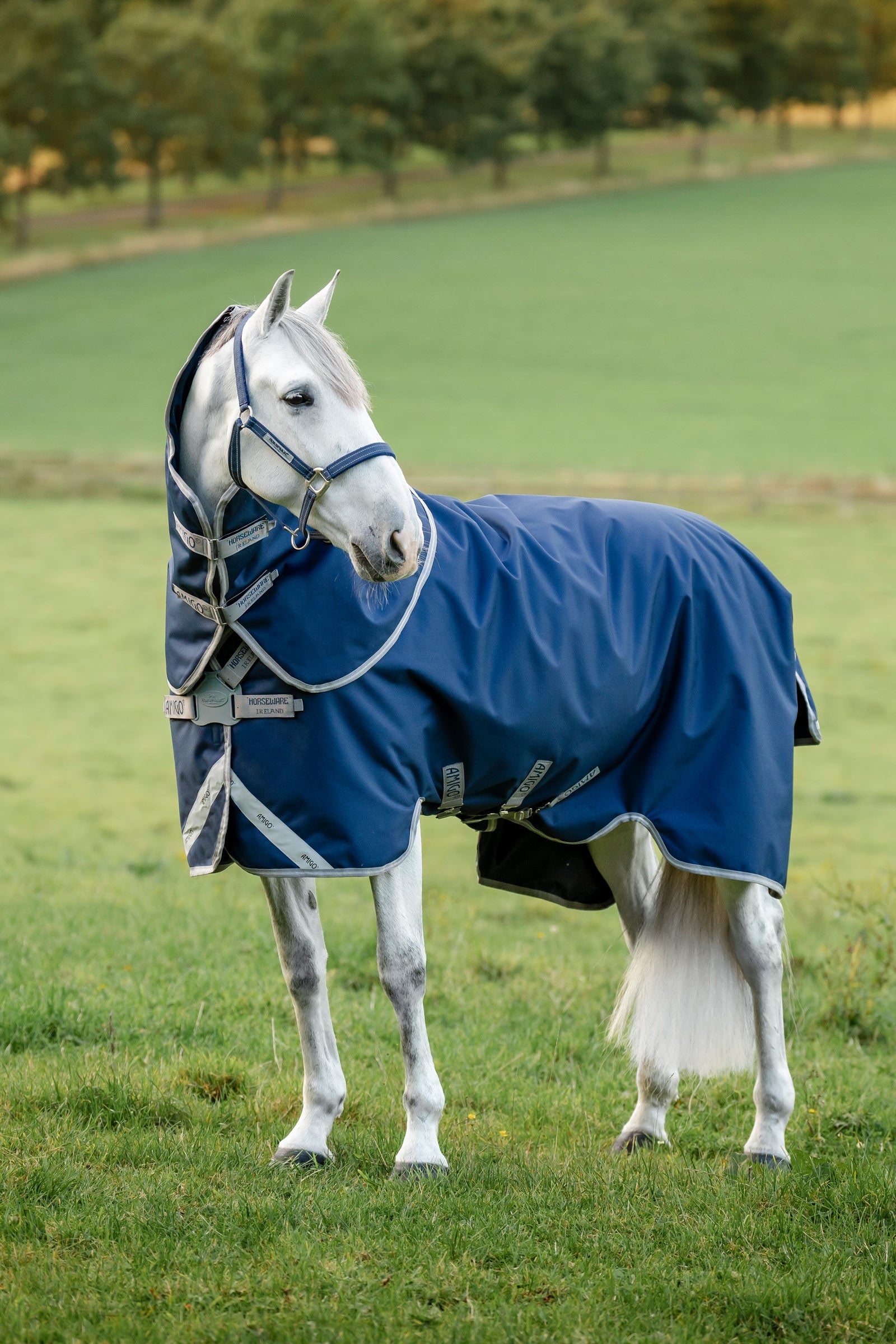 Horseware Amigo 1200D FieldSafe Plus Turnout Rug, 250 g Horse Rugs