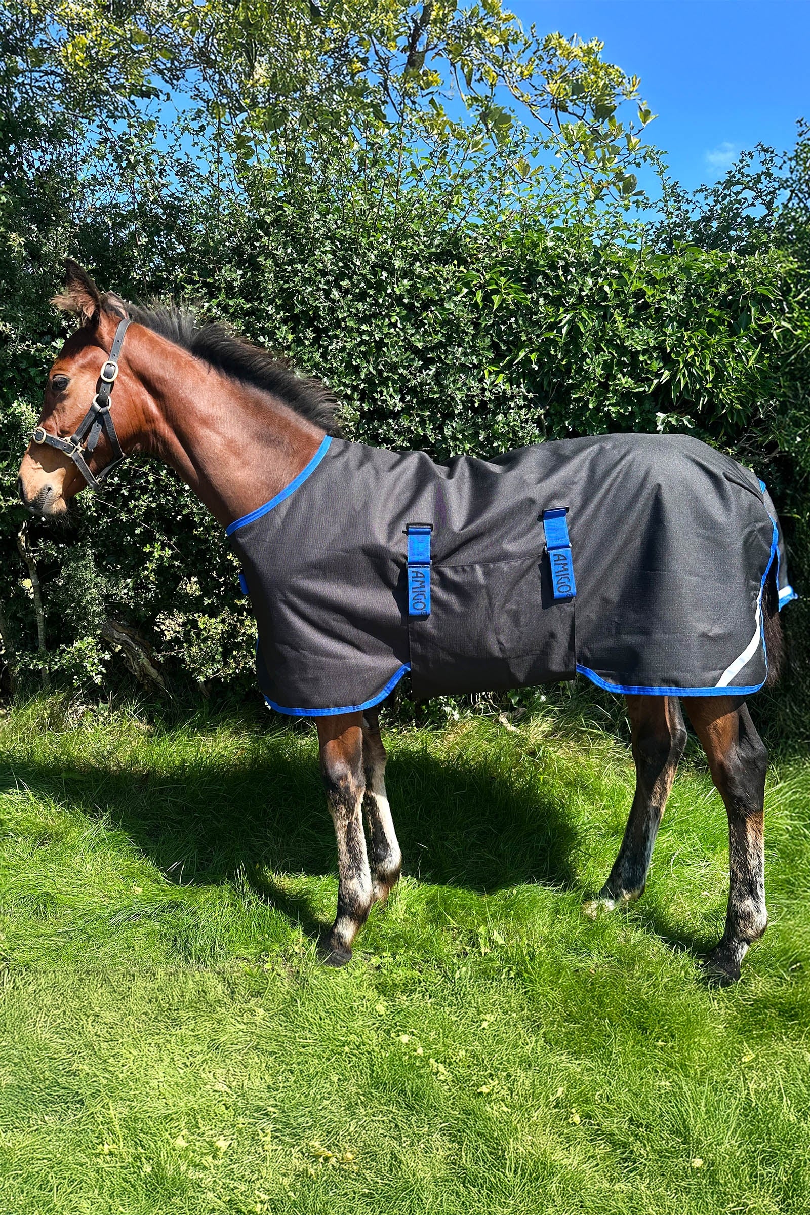 Horseware Amigo Ripstop 900D Foal Turnout 200g Horse Rugs