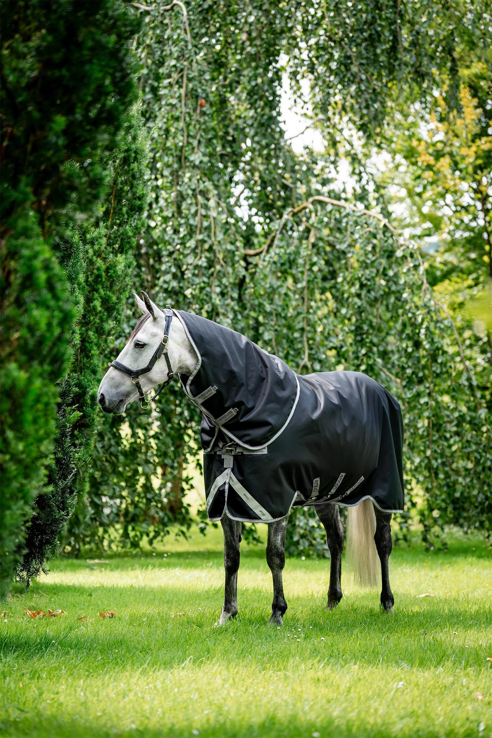 Horseware Amigo Bravo 12 Plus 100g Horse Rugs