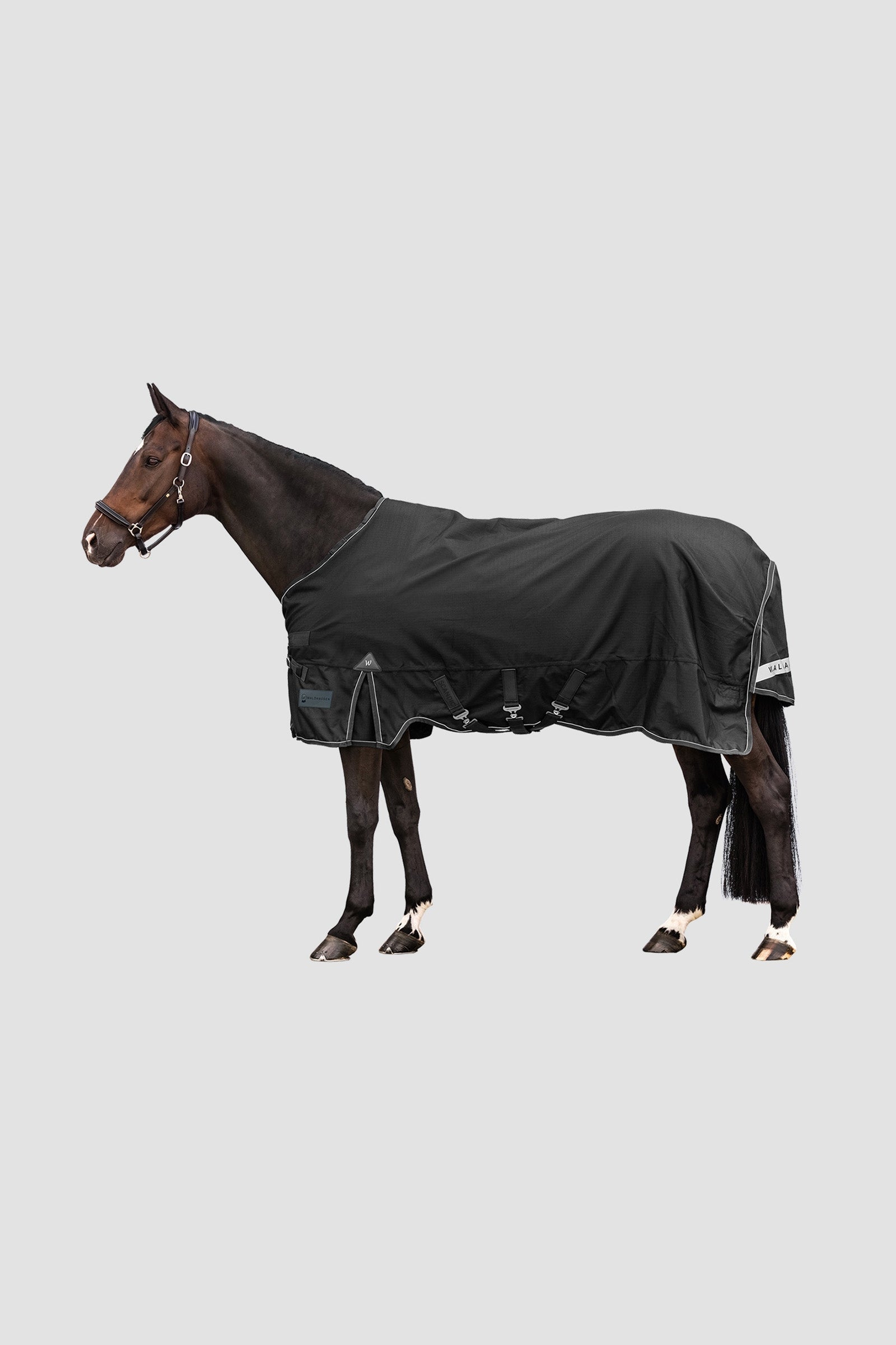 Waldhausen Outdoor Rug Scandic Multi-Layer 150g/50g Horse Rugs