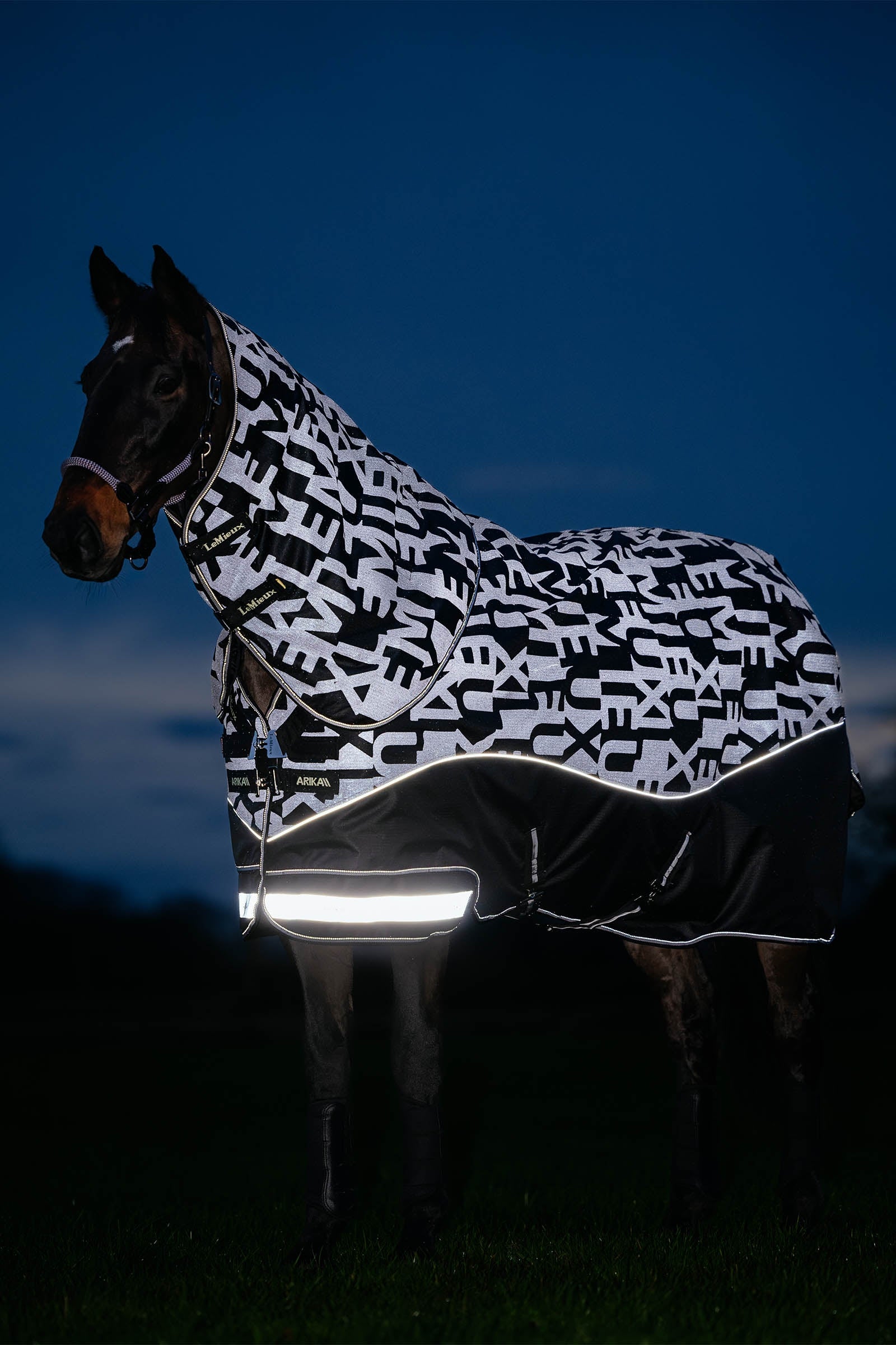 LeMieux Arika Reflective Turnout Rug With Detachable Neck, 200 g Horse Rugs
