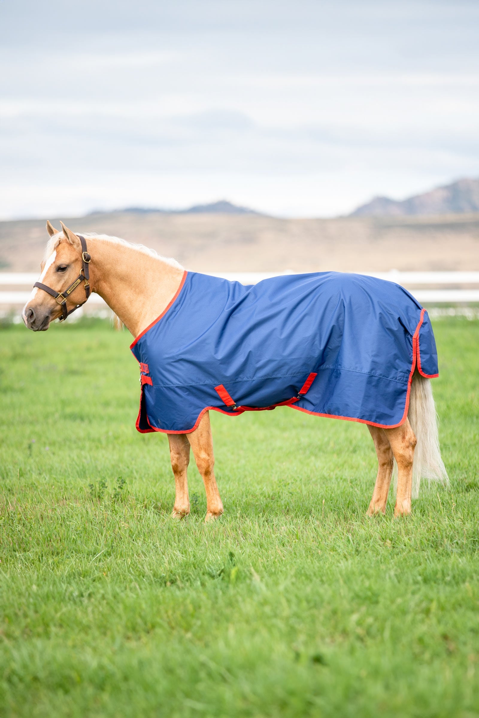 Horseware Mio Turnout Rug, 0g Horse Rugs