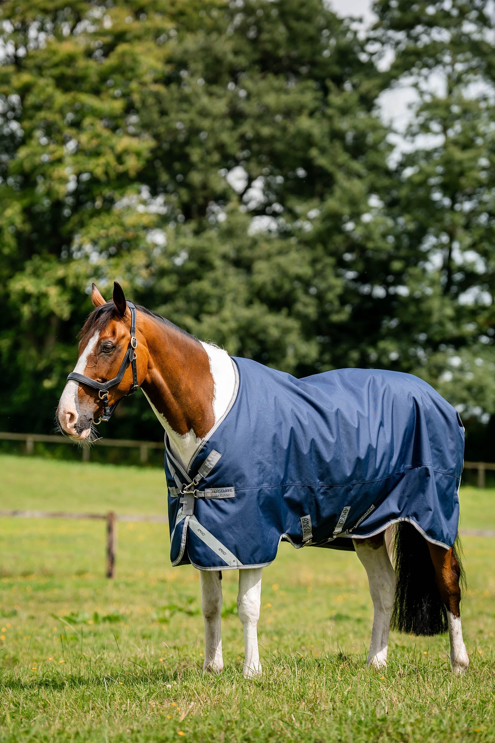 Horseware Amigo 1200D Turnout Rug, 100 g Horse Rugs