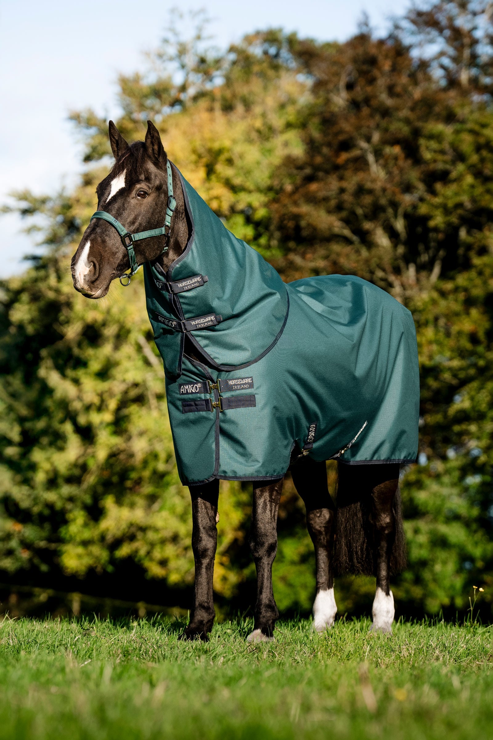 Horseware Amigo Ripstop 900D Plus Pony Turnout Rug, 200 g Horse Rugs