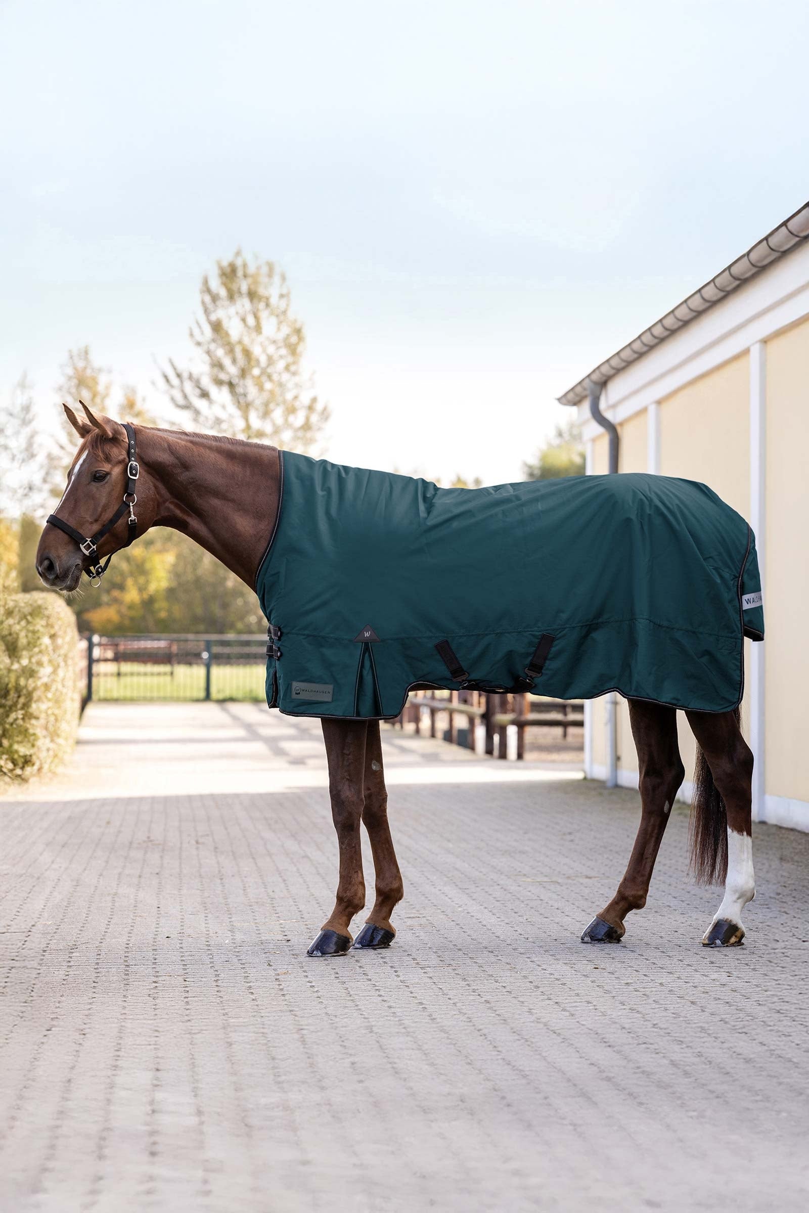 Waldhausen Arctic Outdoor Rug, 100 g Horse Rugs