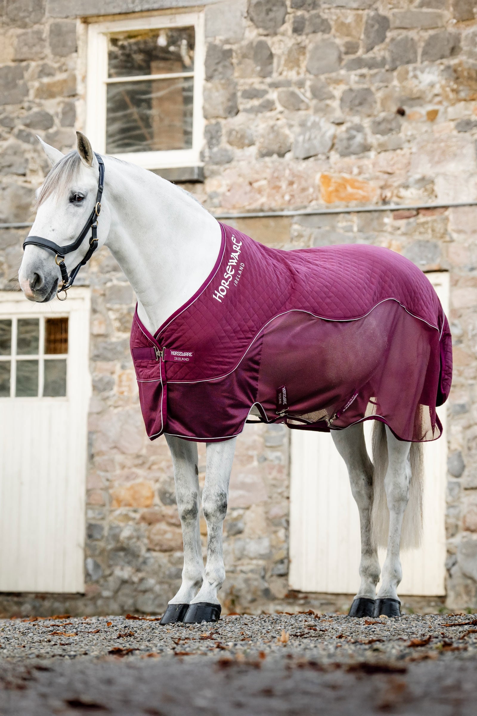 Horseware Signature Travel Cooler Horse Rugs