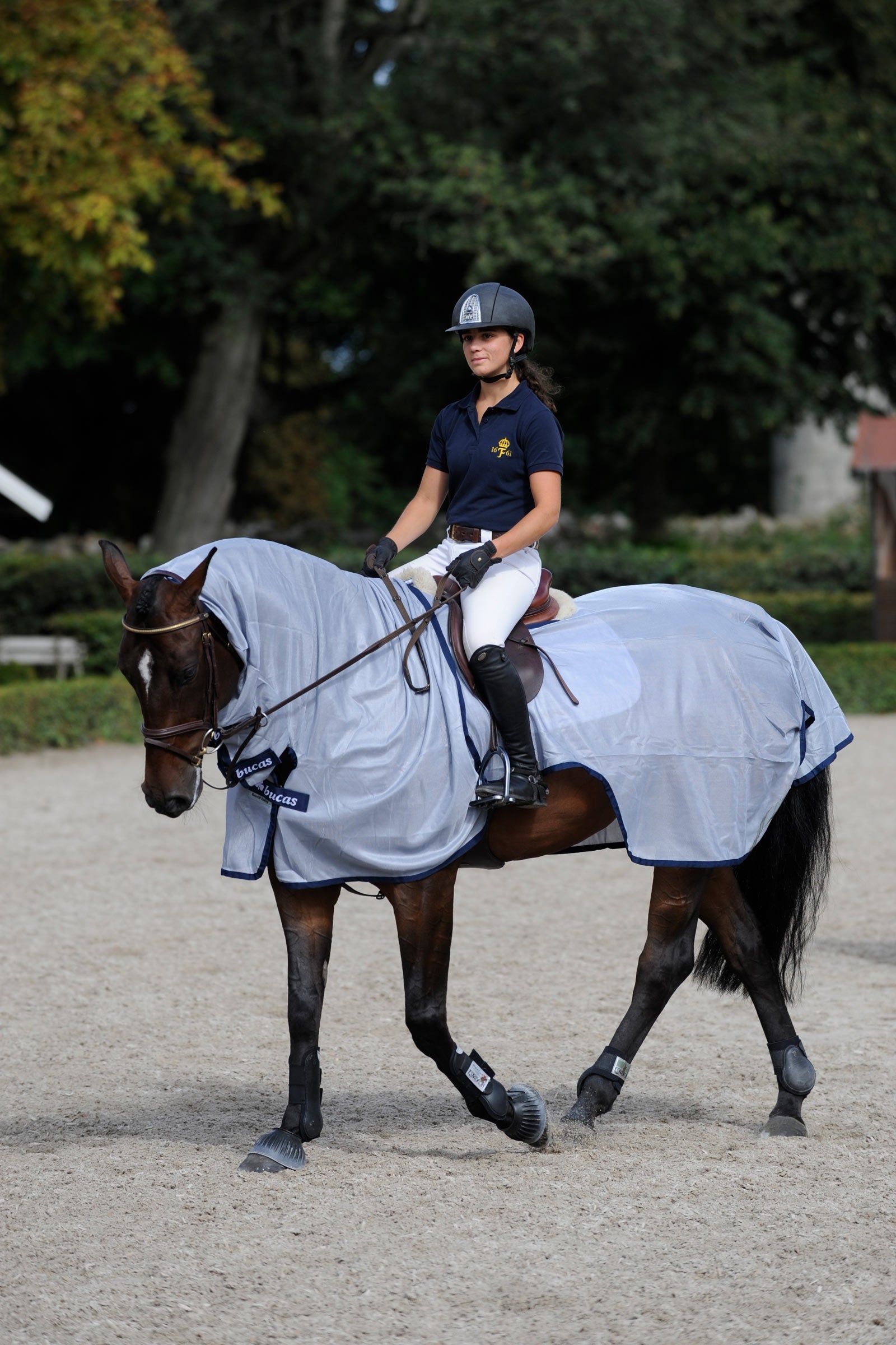 Bucas Buzz-Off Riding Rug Horse Rugs