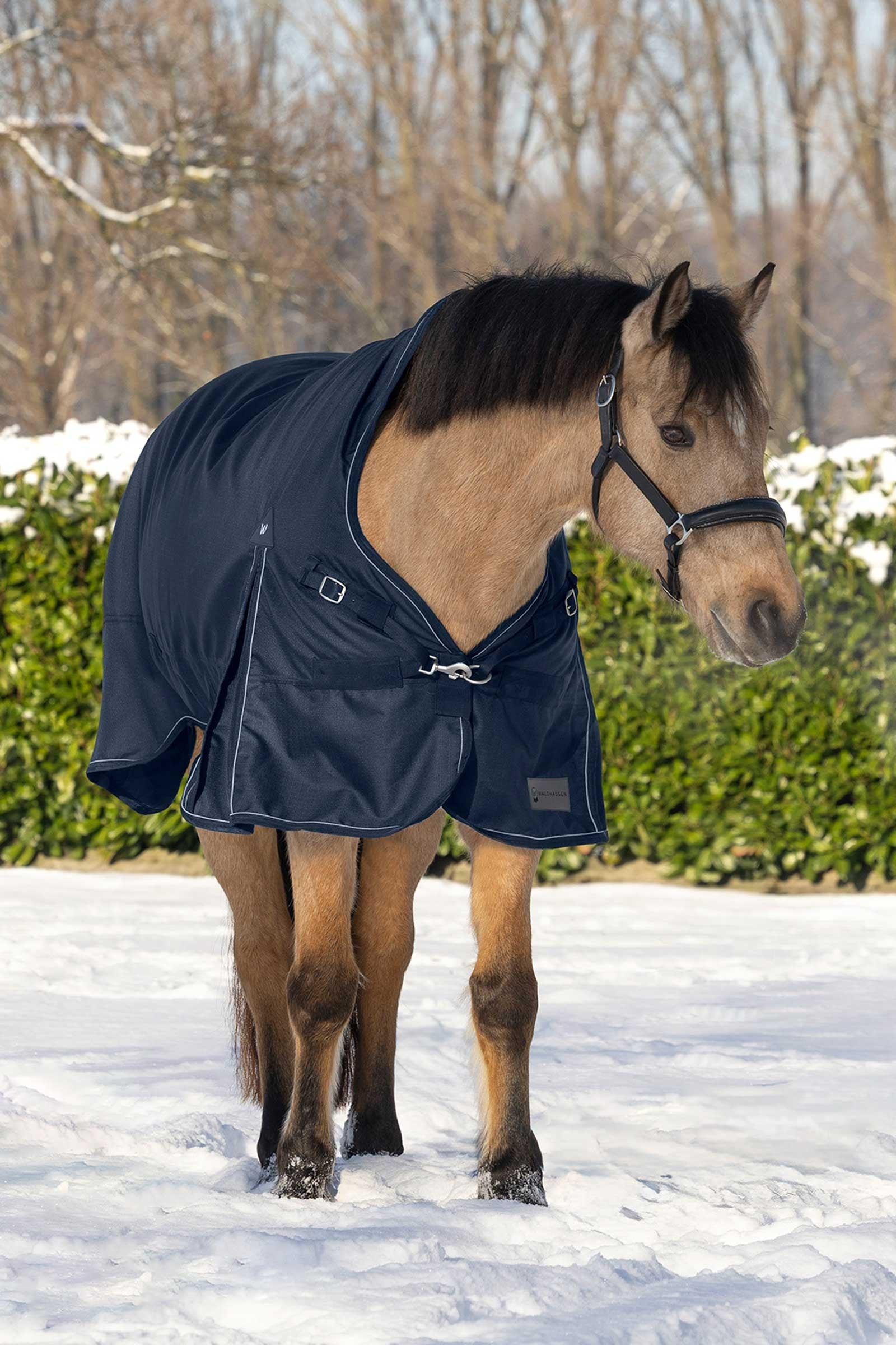 Waldhausen Scandic Turnout Rug With High Neck, 200g Horse Rugs