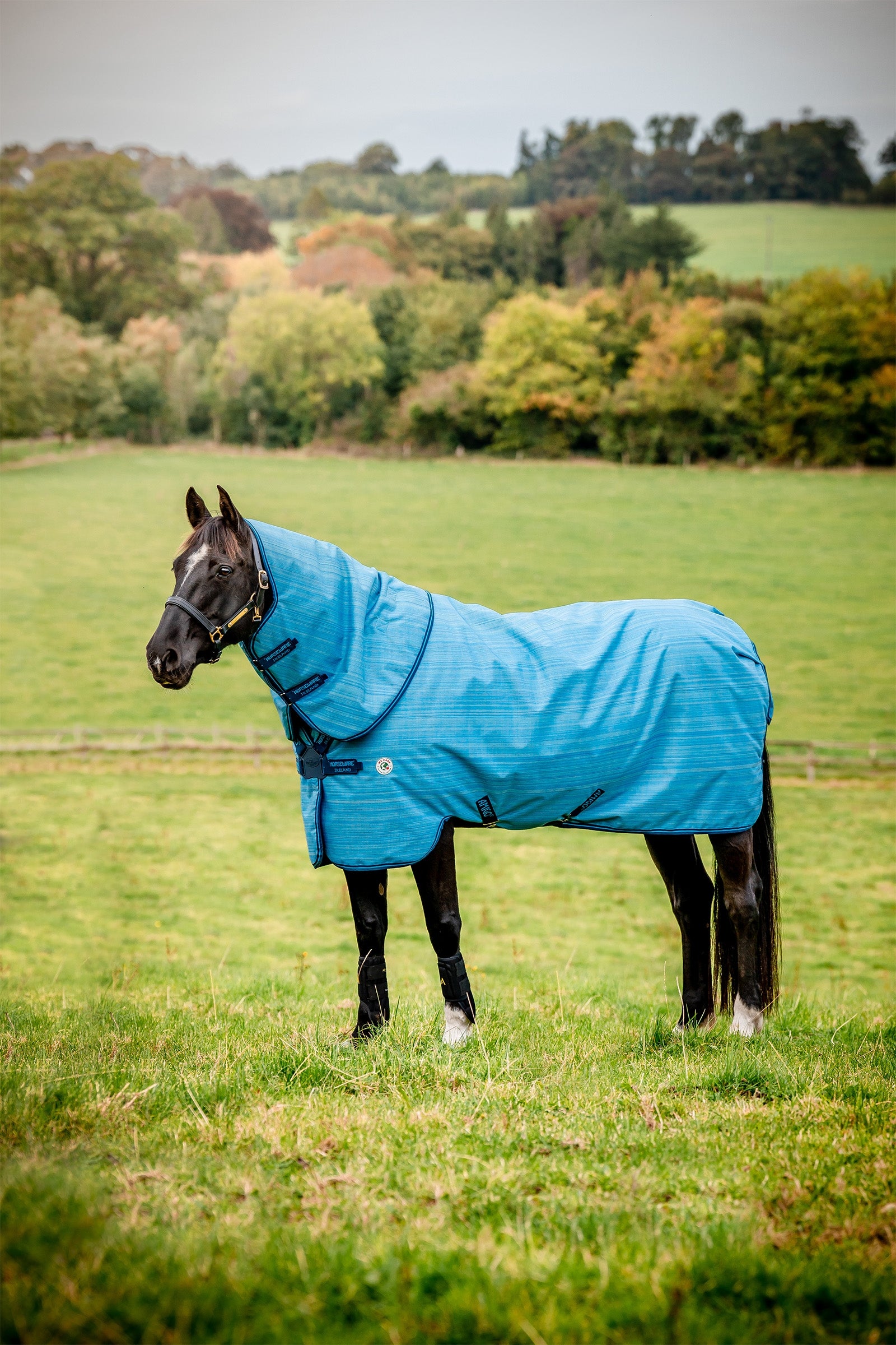 Horseware Amigo Hero 900 Revive Plus Turnout Rug With Detachable Neck, 50 g Horse Rugs