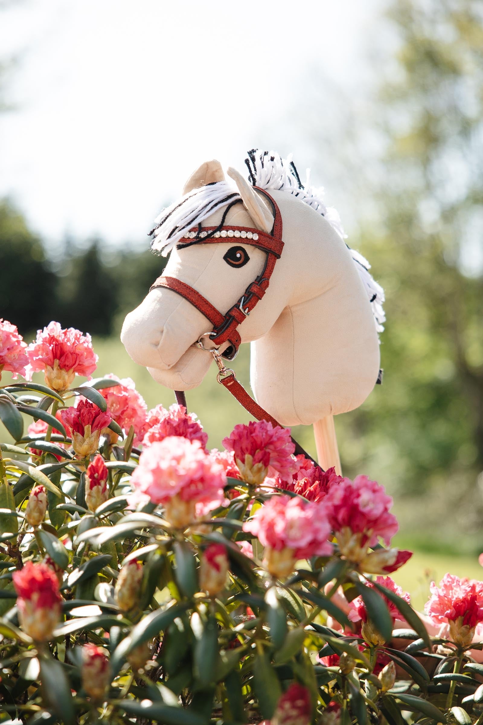 My Hobby Horse Bridle with Glitter Gifts & Toys