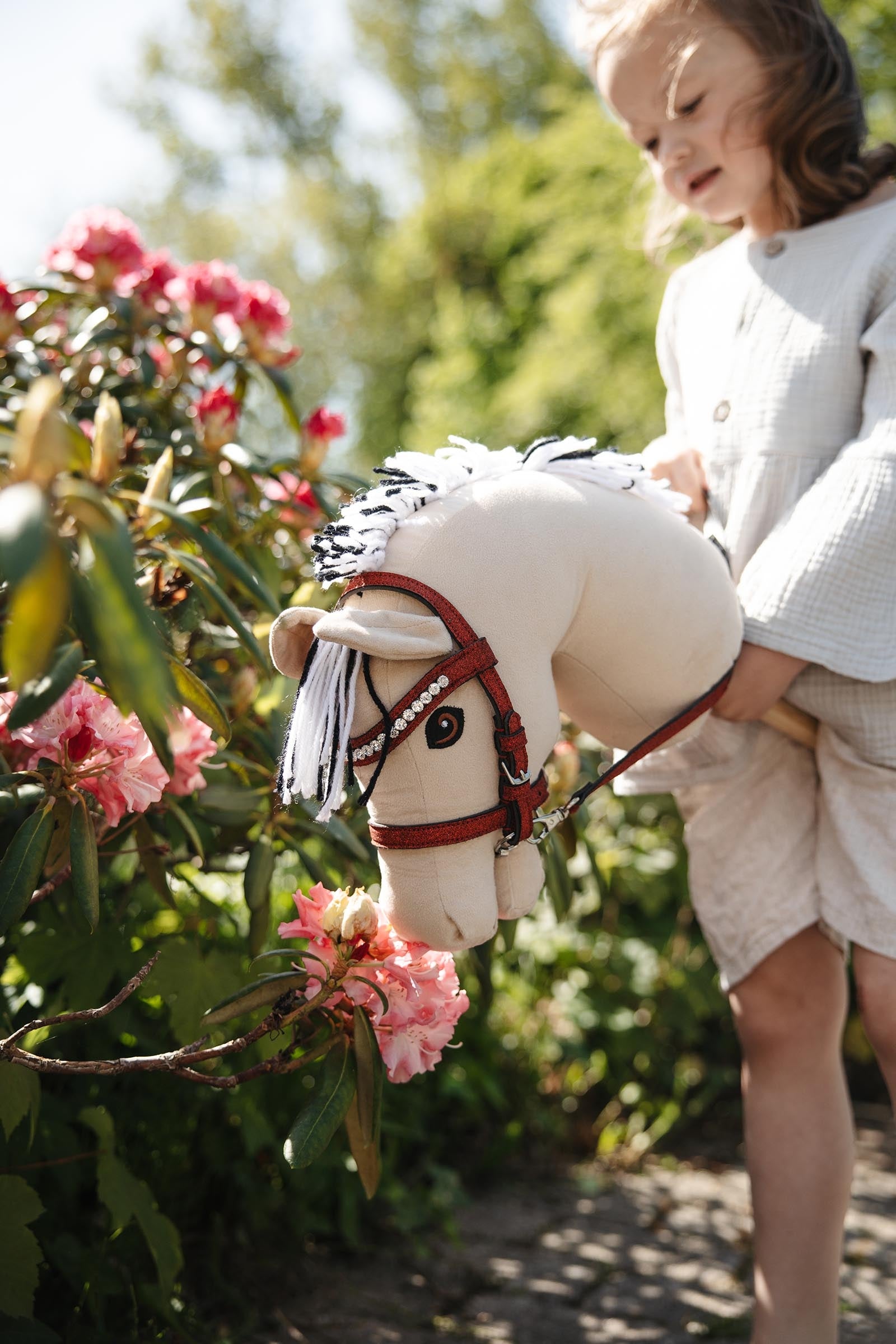 My Hobby Horse Bridle with Glitter Gifts & Toys