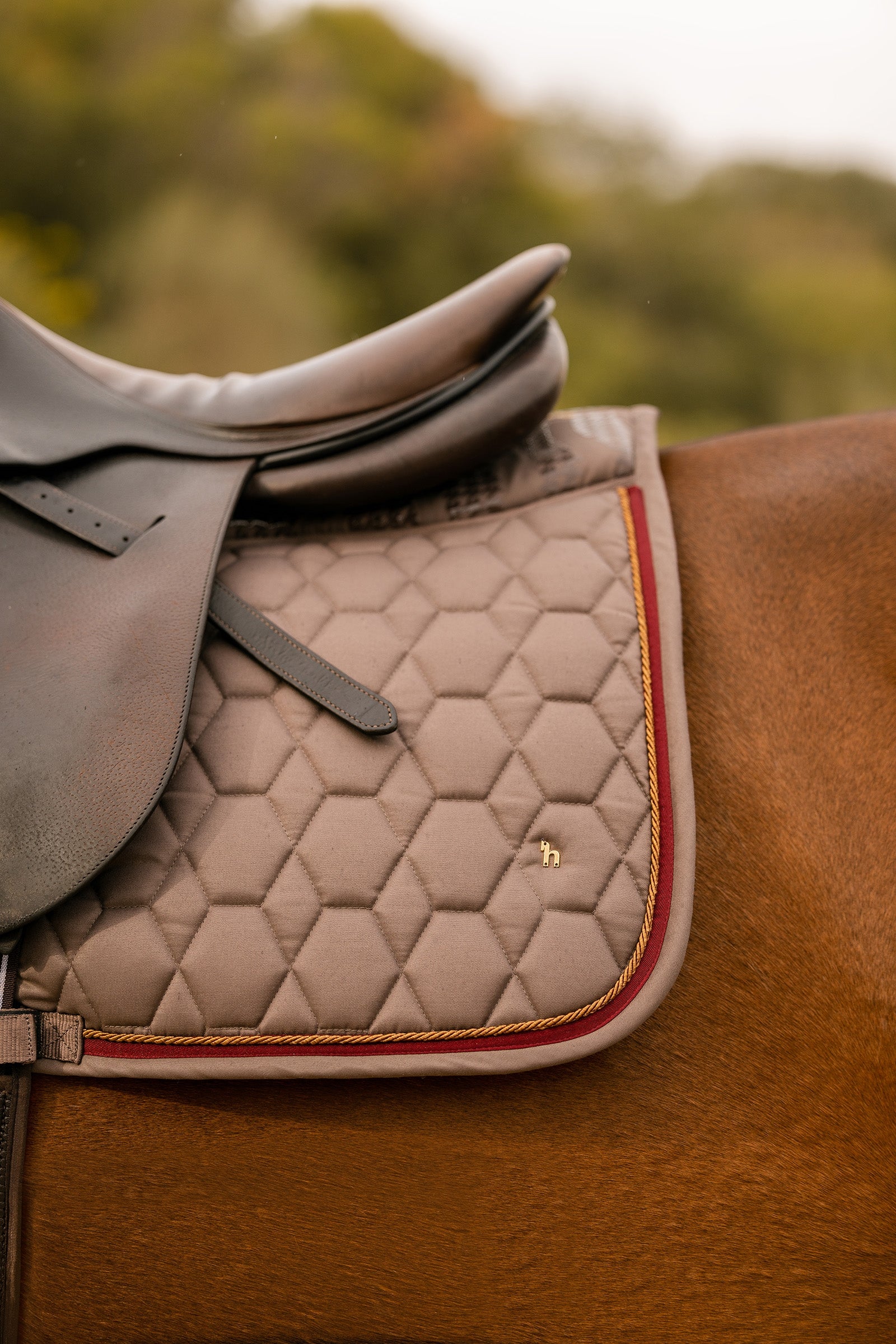 Horze Kenya All Purpose Saddle Pad Saddle Pads